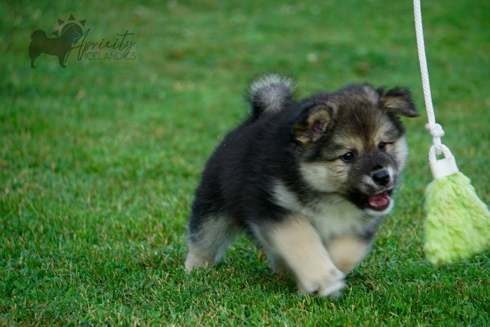 DSC09840 (2).jpg