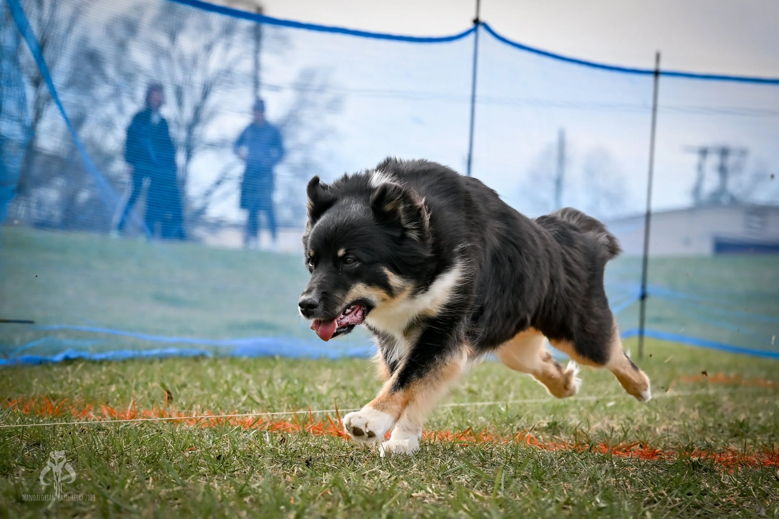 DSC_0014.jpg