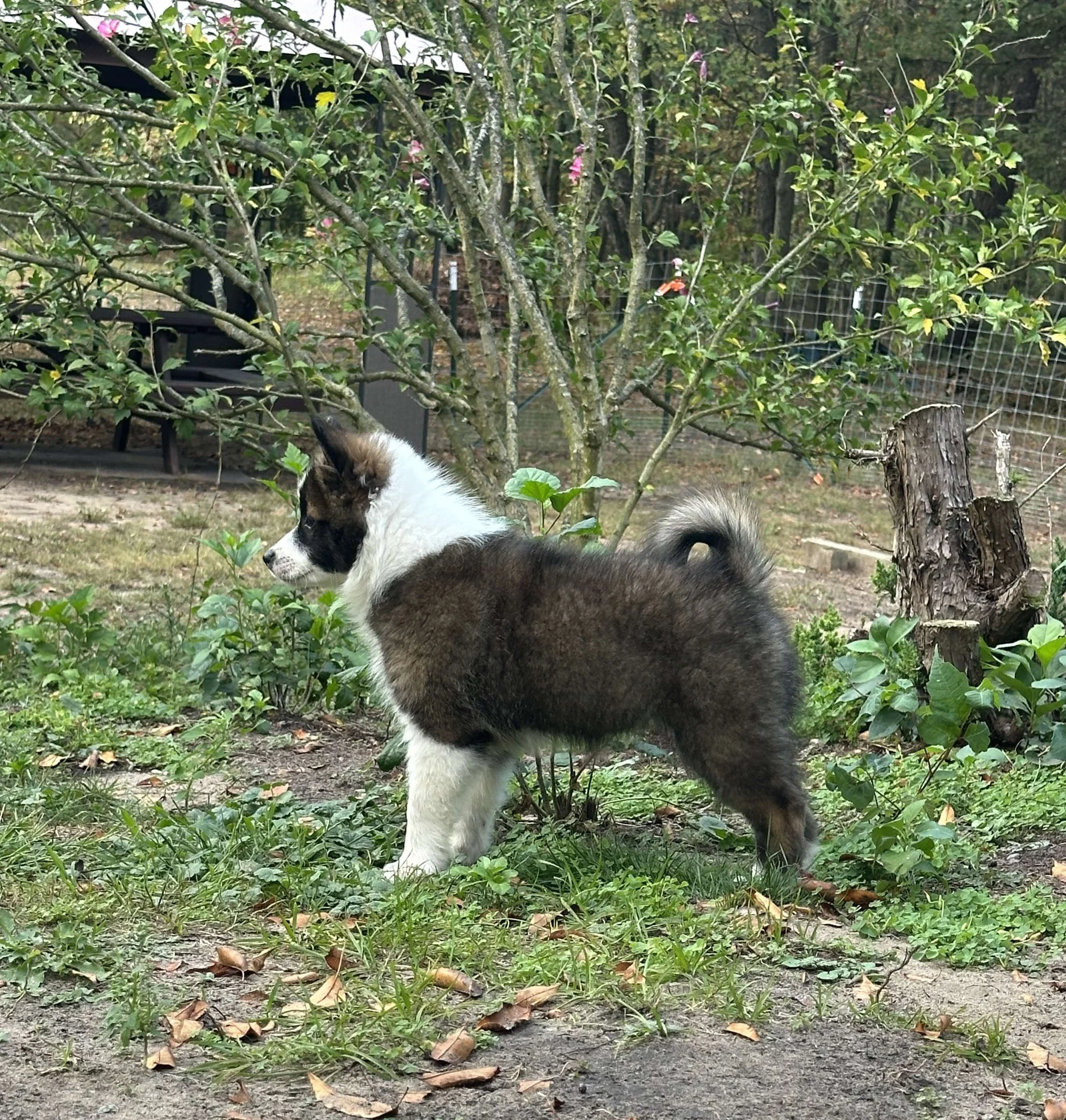 received_3210298419136483.jpeg