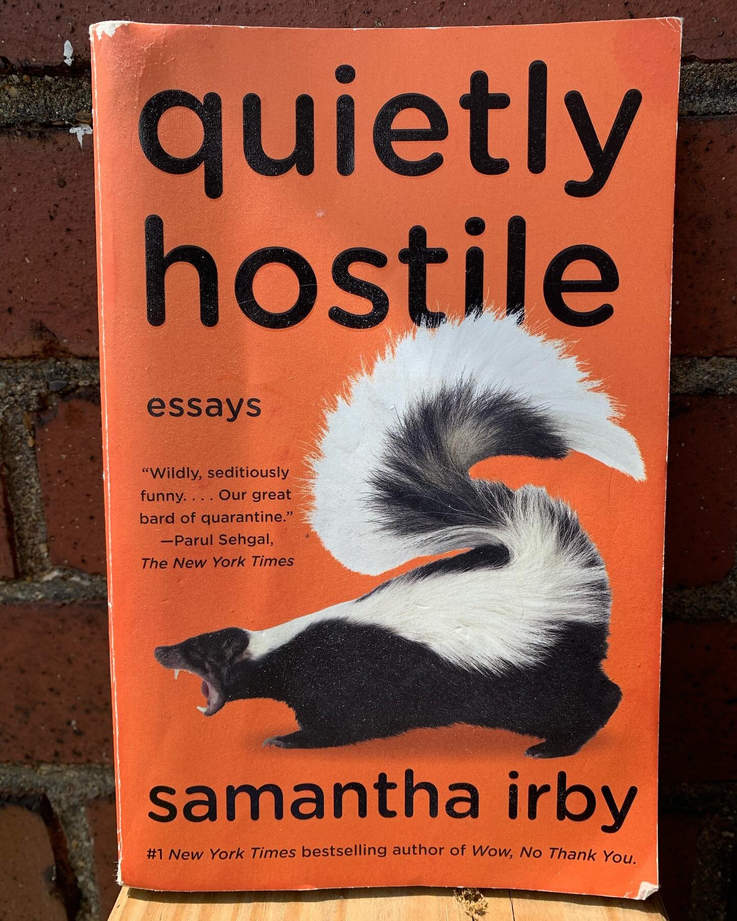 18th book got his year was hilarious. Will definitely be reading more by Samantha Irby.@

#quietly #hostile