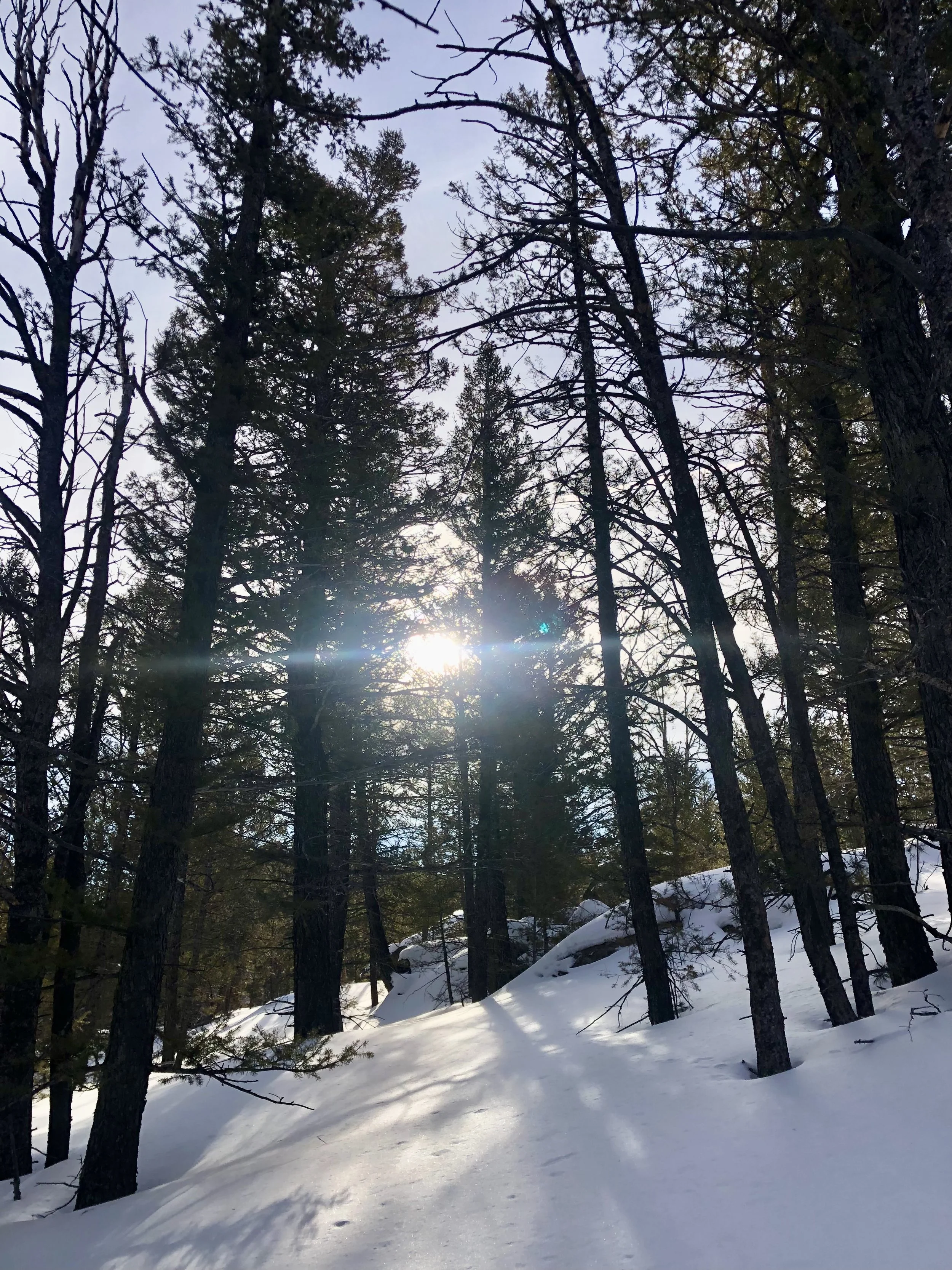 Solstice equals sleepy