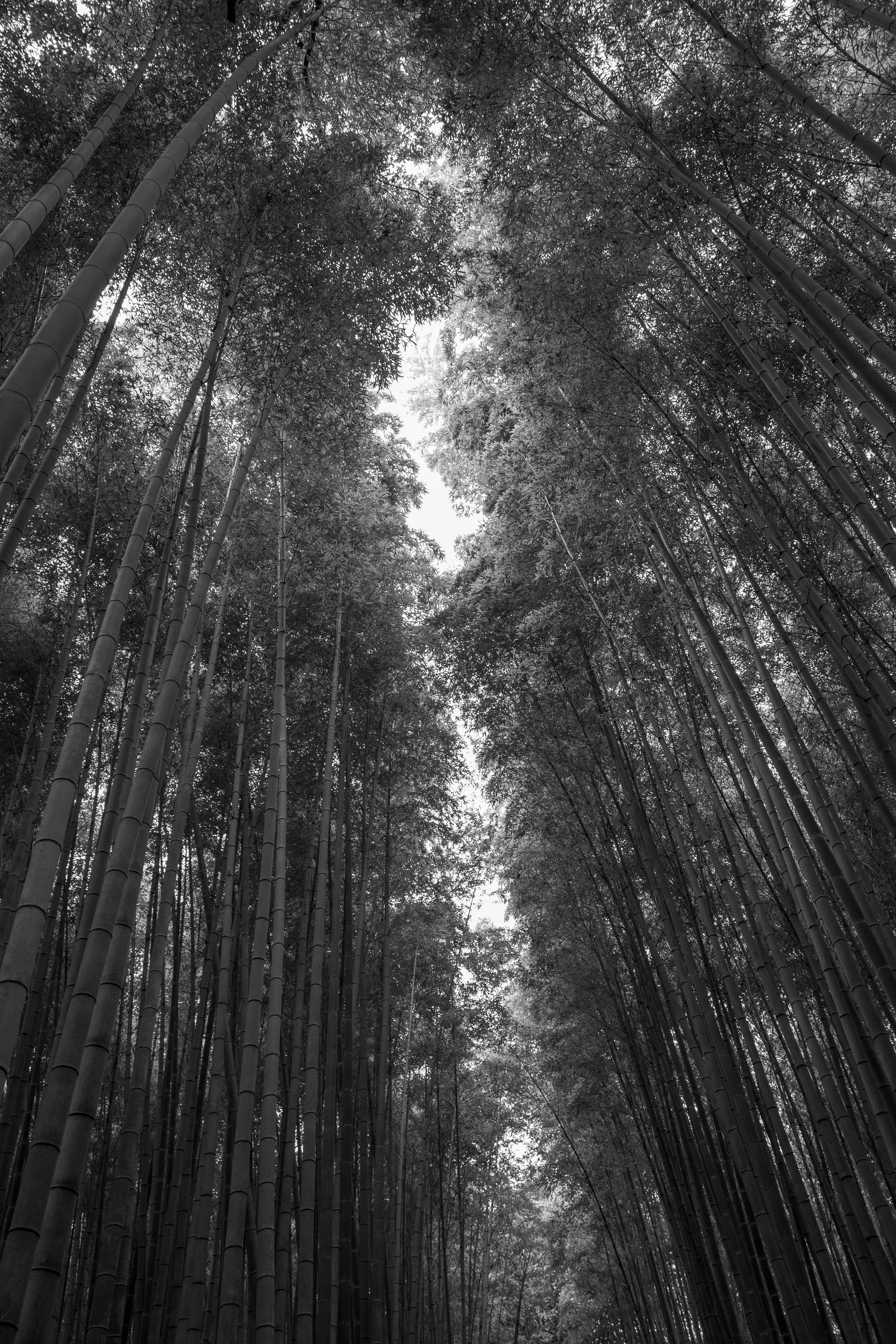Japan_102024_188.jpg