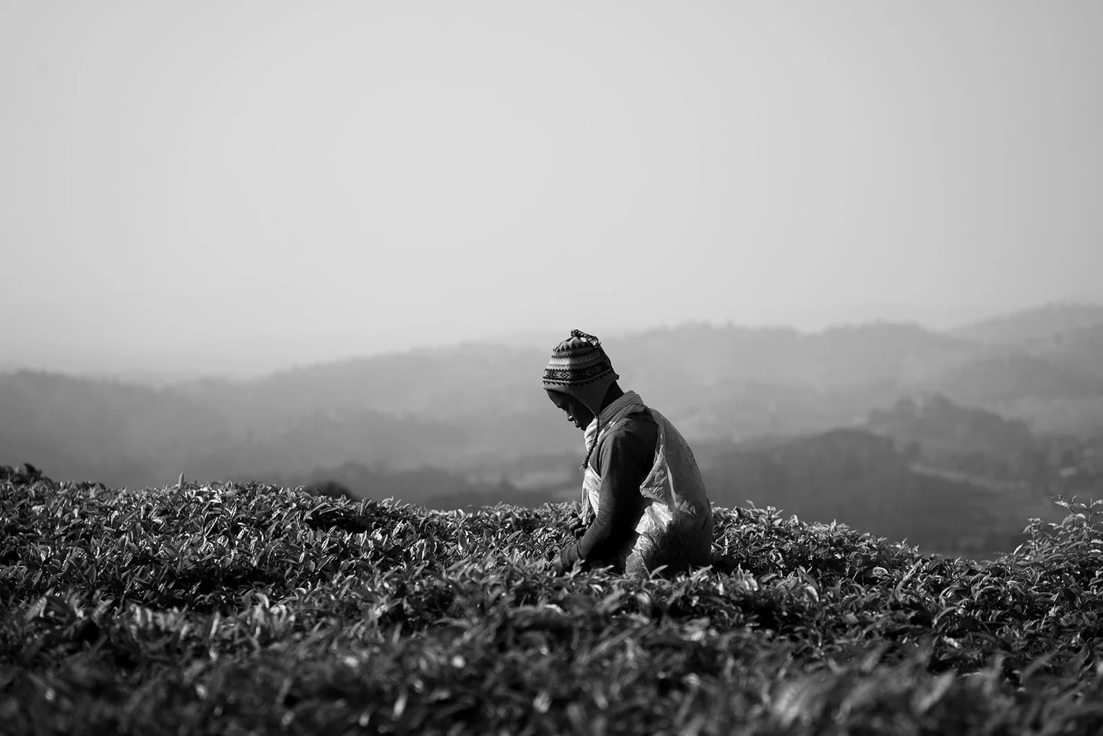 Rwanda_072024_12.jpg