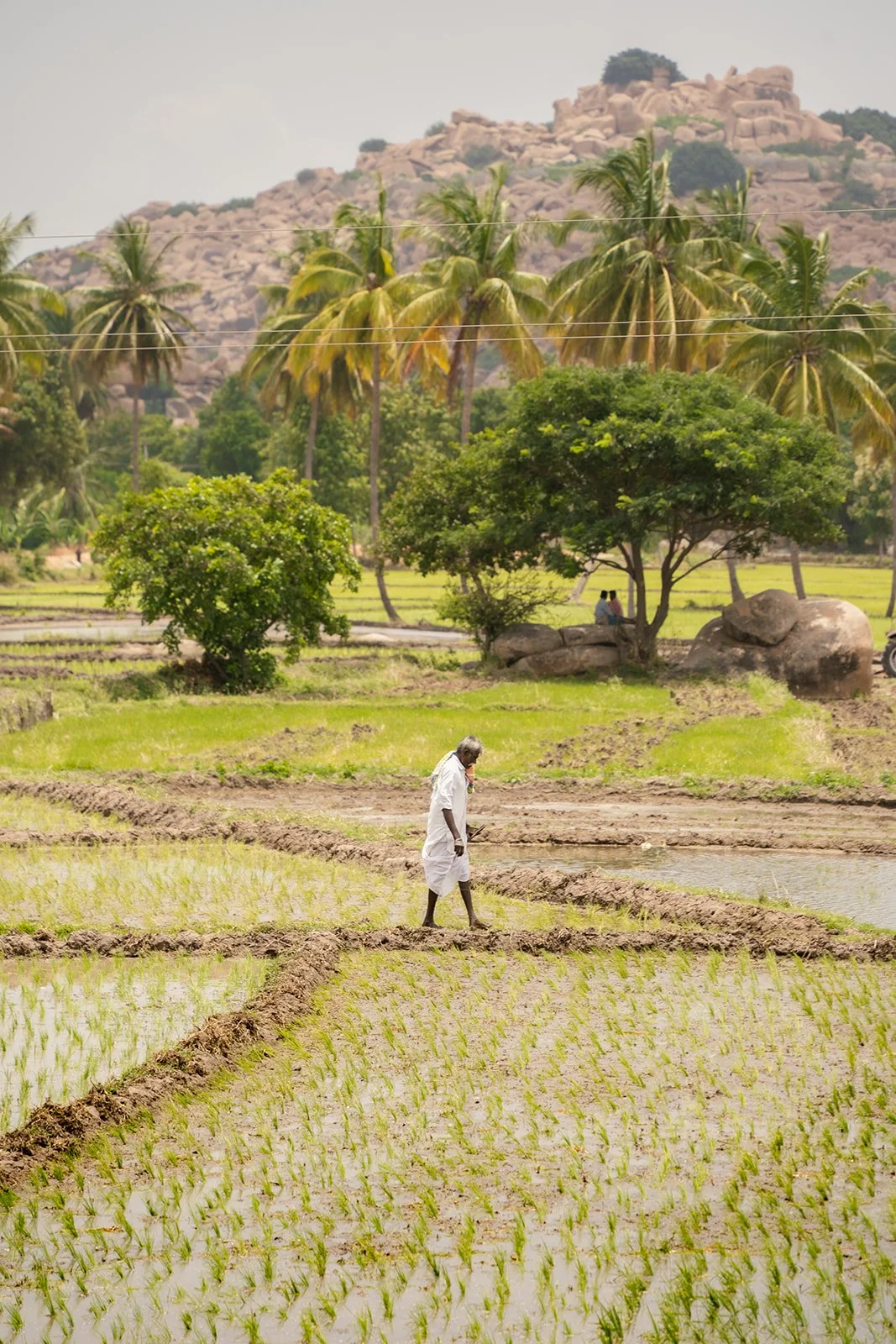 India_082023_4.jpg
