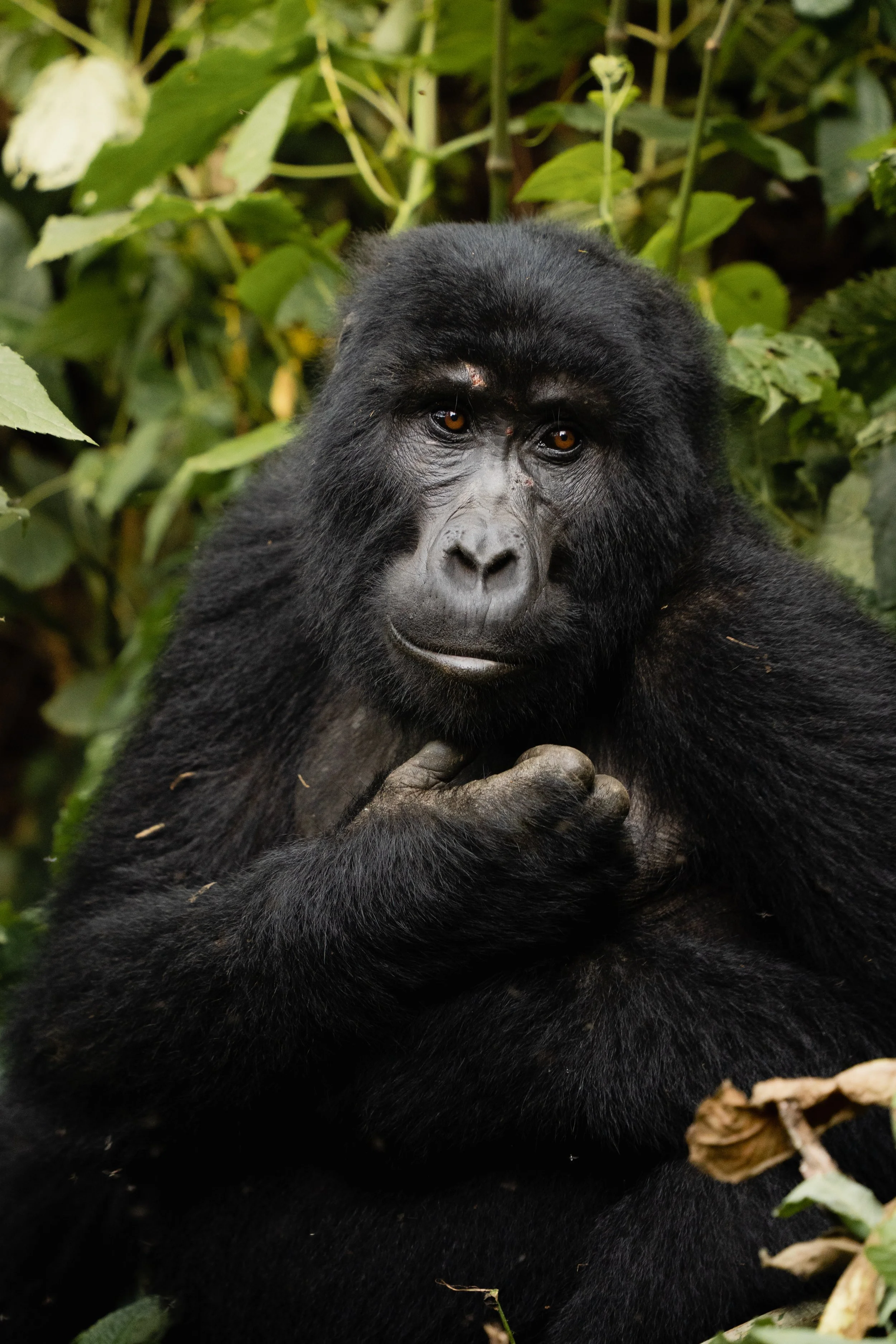 Rwanda_072024_66.jpg