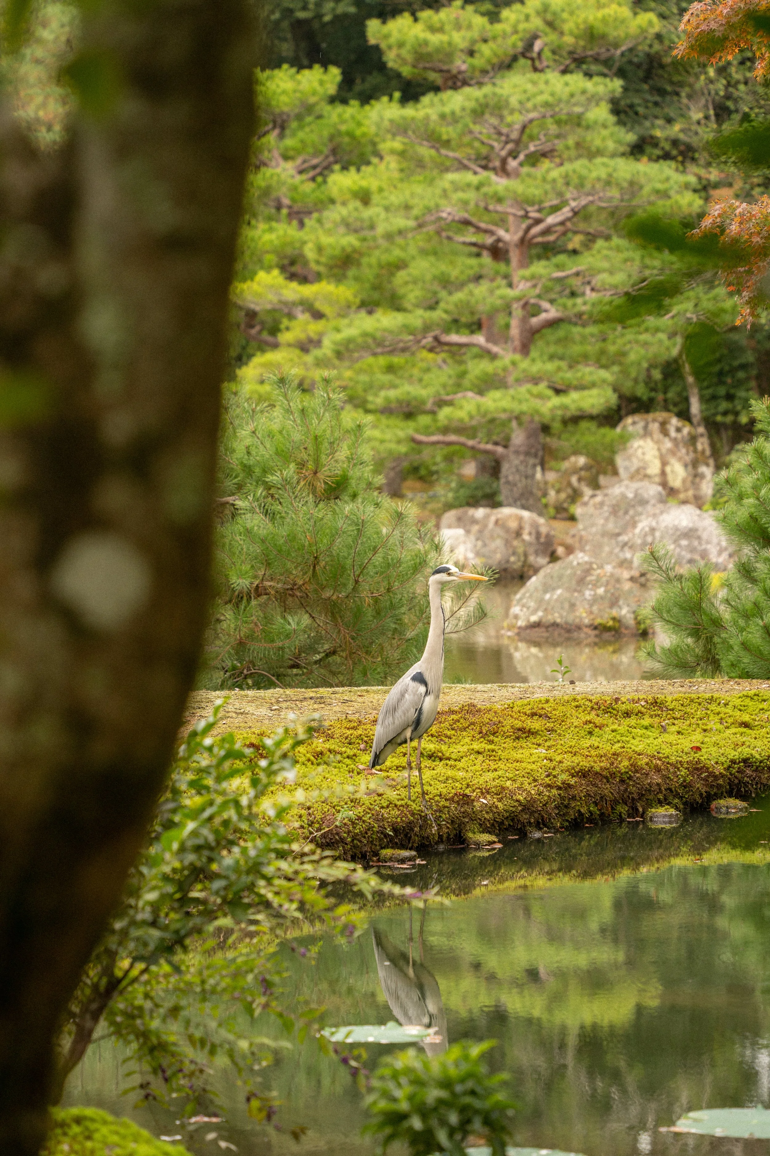 Japan_102024_218.jpg
