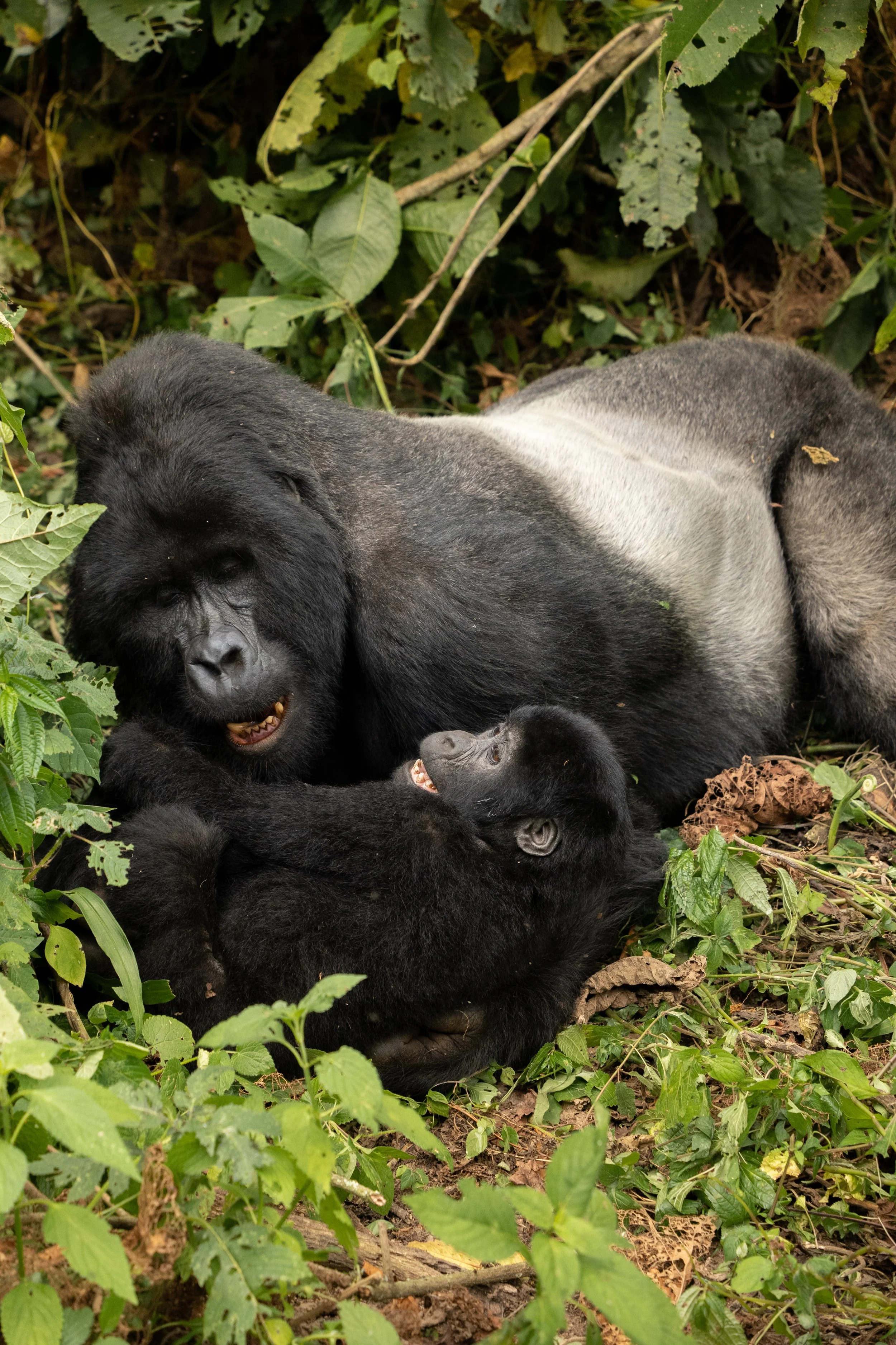 Rwanda_072024_67.jpg