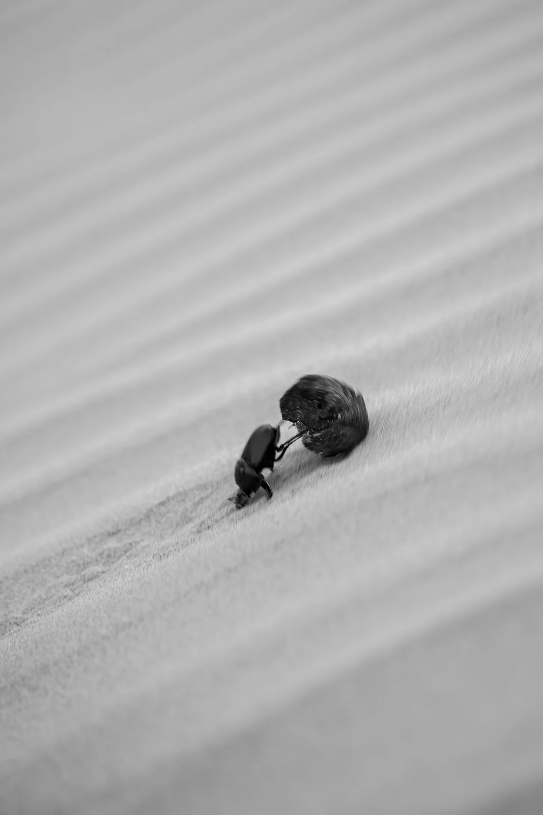 India_082023_50.jpg