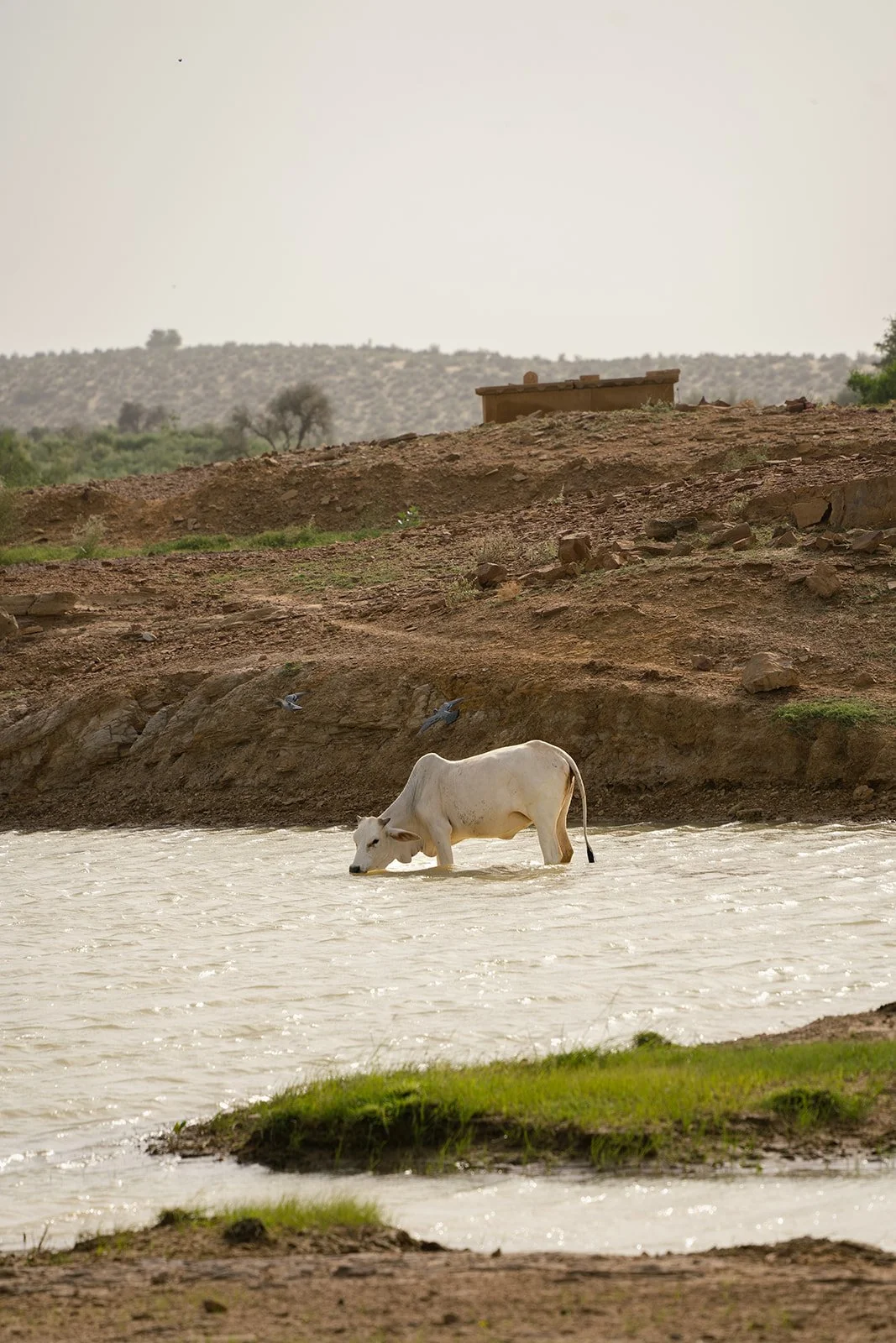 India_082023_49.jpg