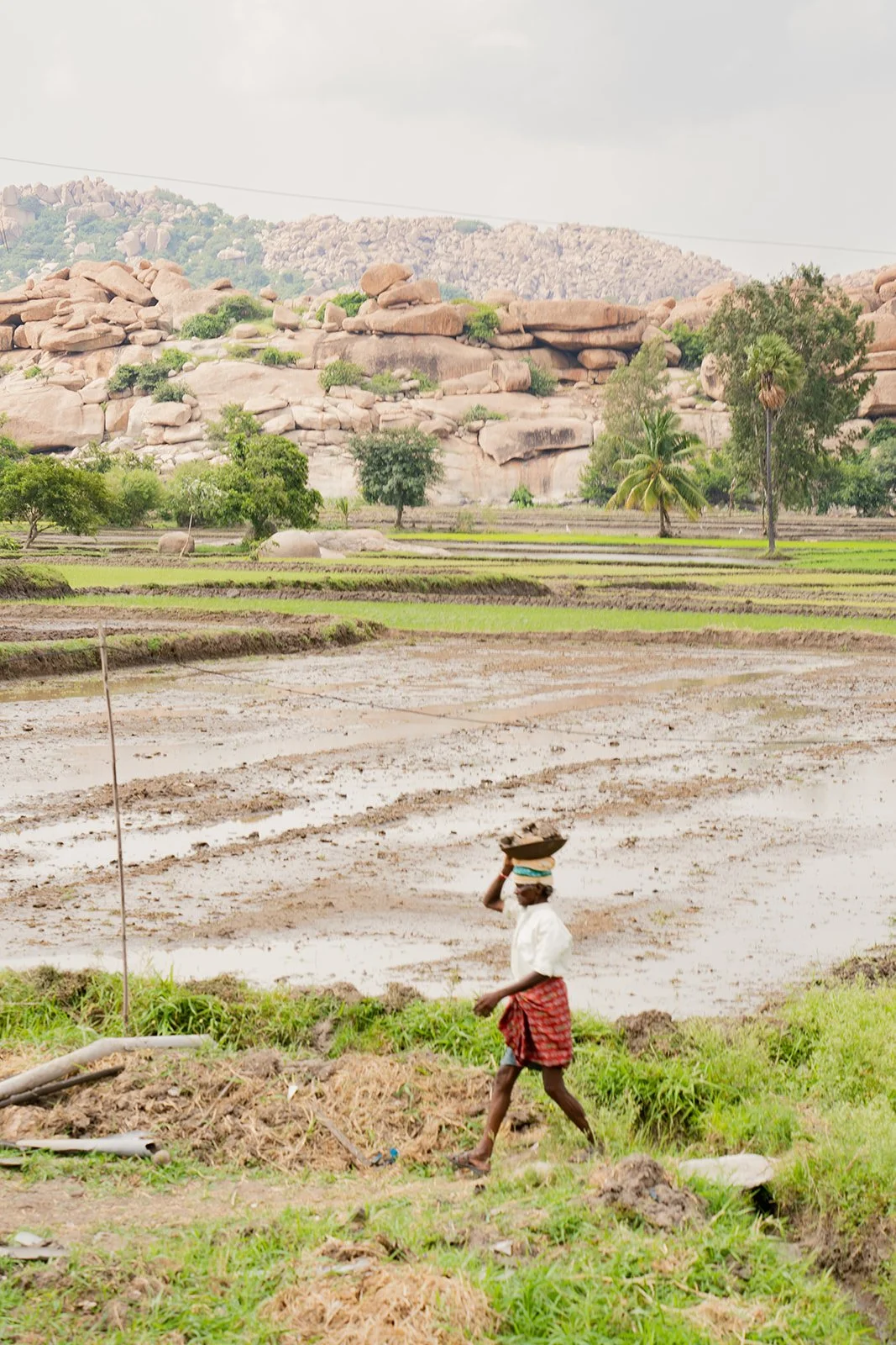 India_082023_5.jpg