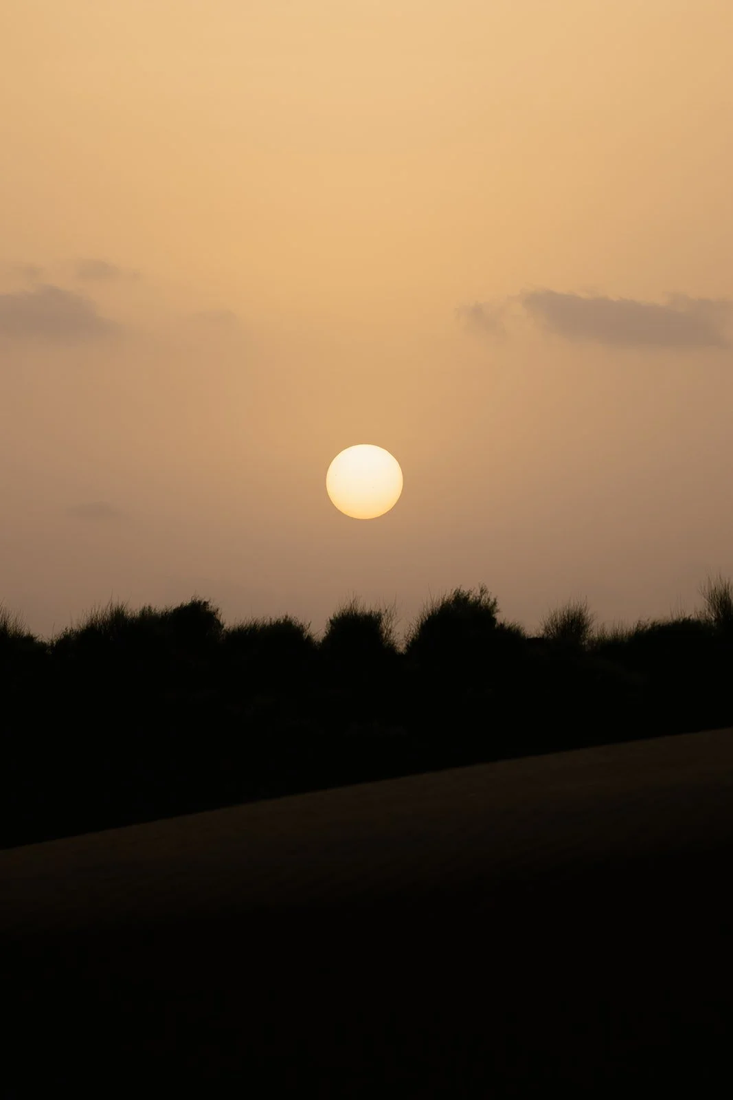 India_082023_51.jpg