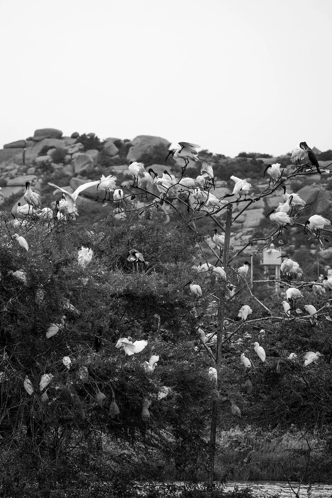 India_082023_1.jpg