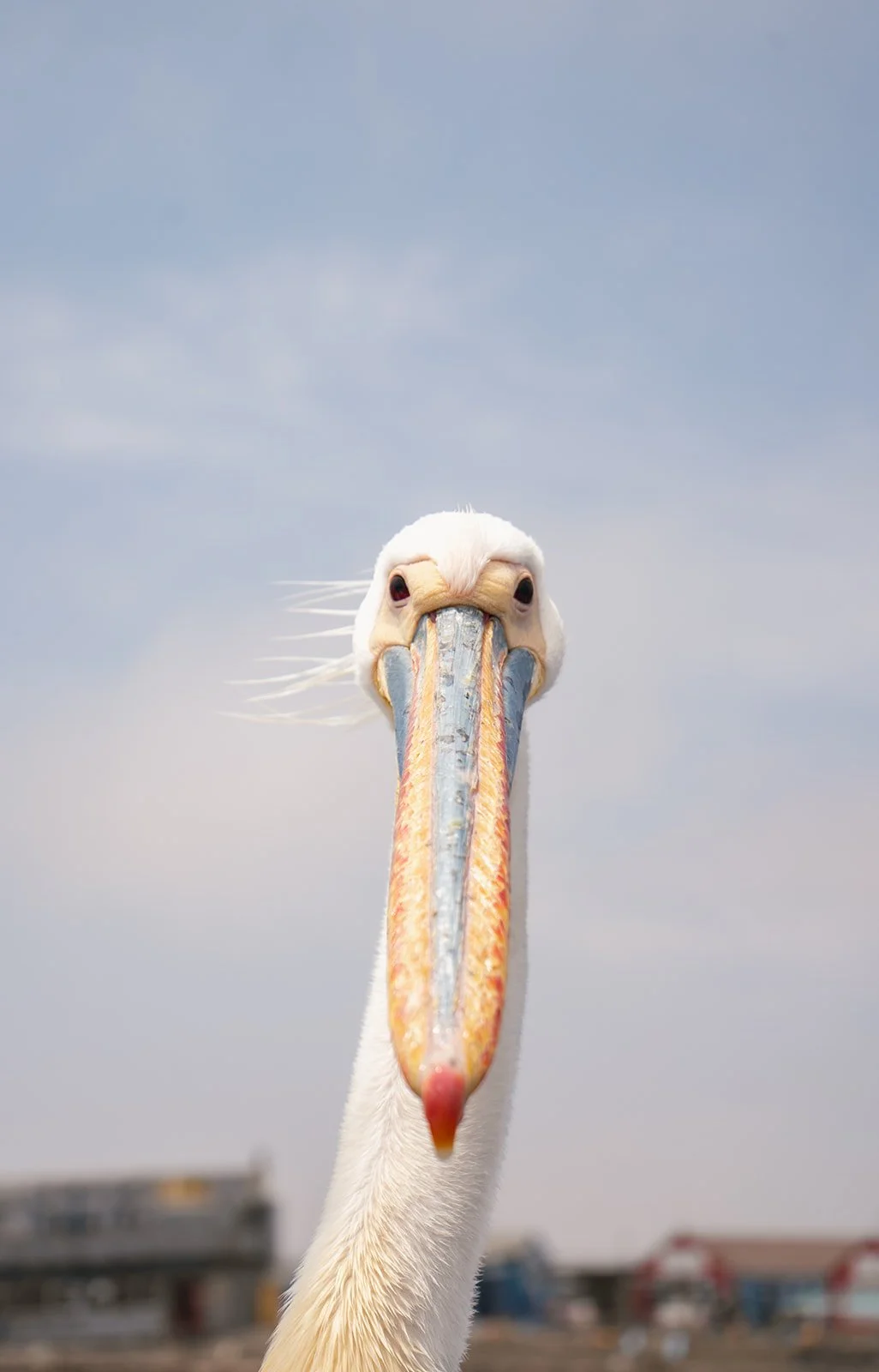 Namibie_102022_2.jpg