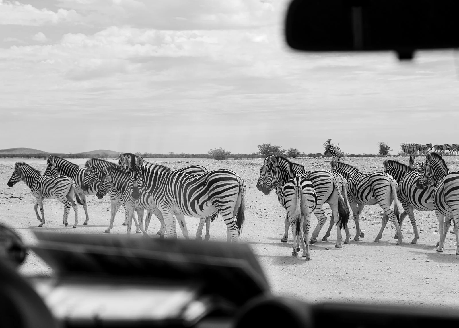 Namibie_102022_11.jpg