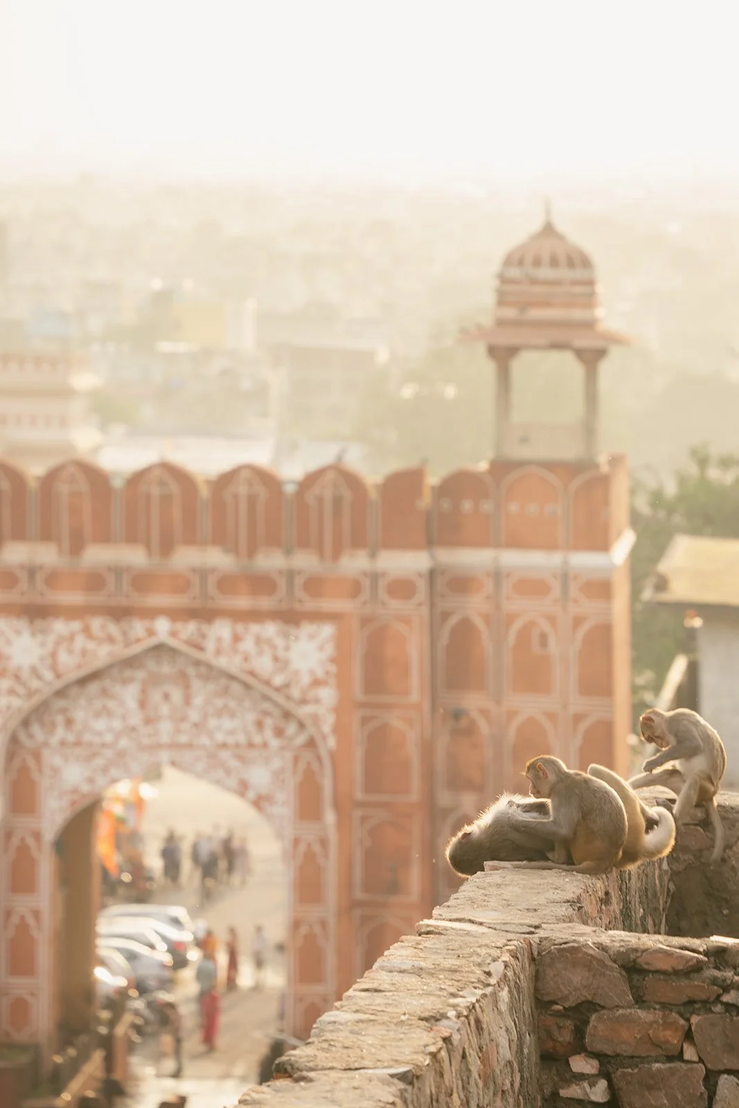 India_082023_32.jpg