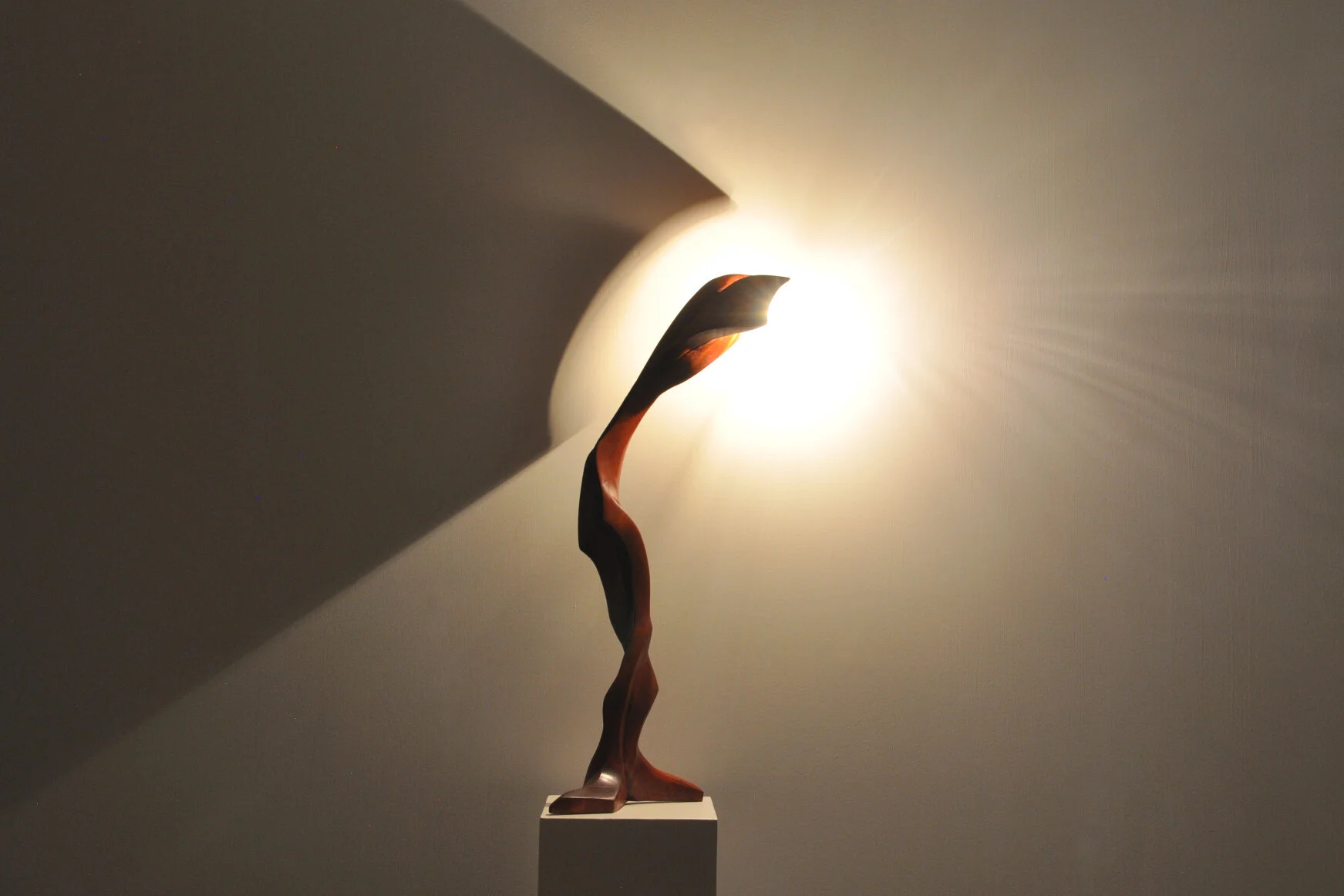 L2M-The Voice_01.JPG