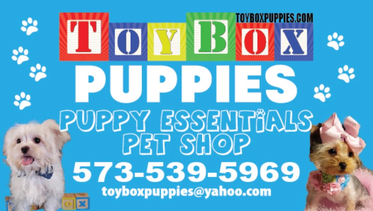 ToyBox Puppies