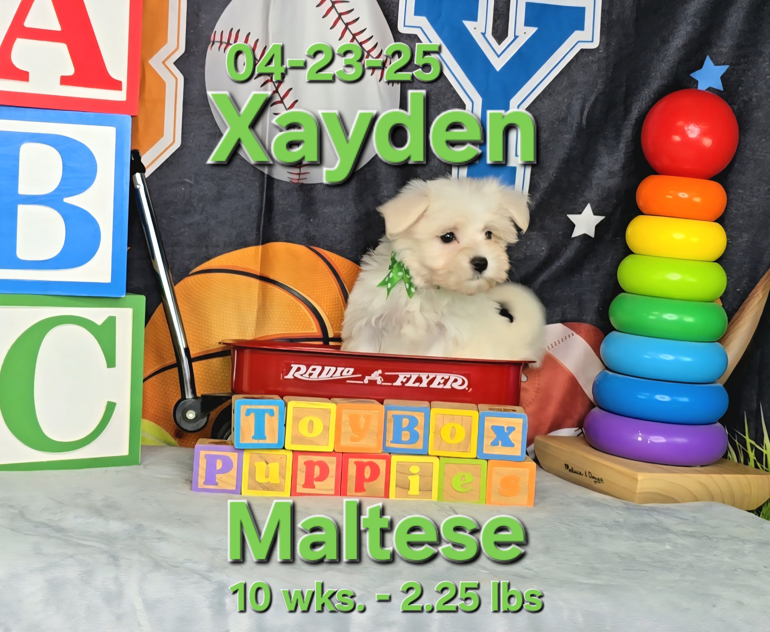 processed_388acc9c22234d8f9c0dca36772de6c6.jpeg