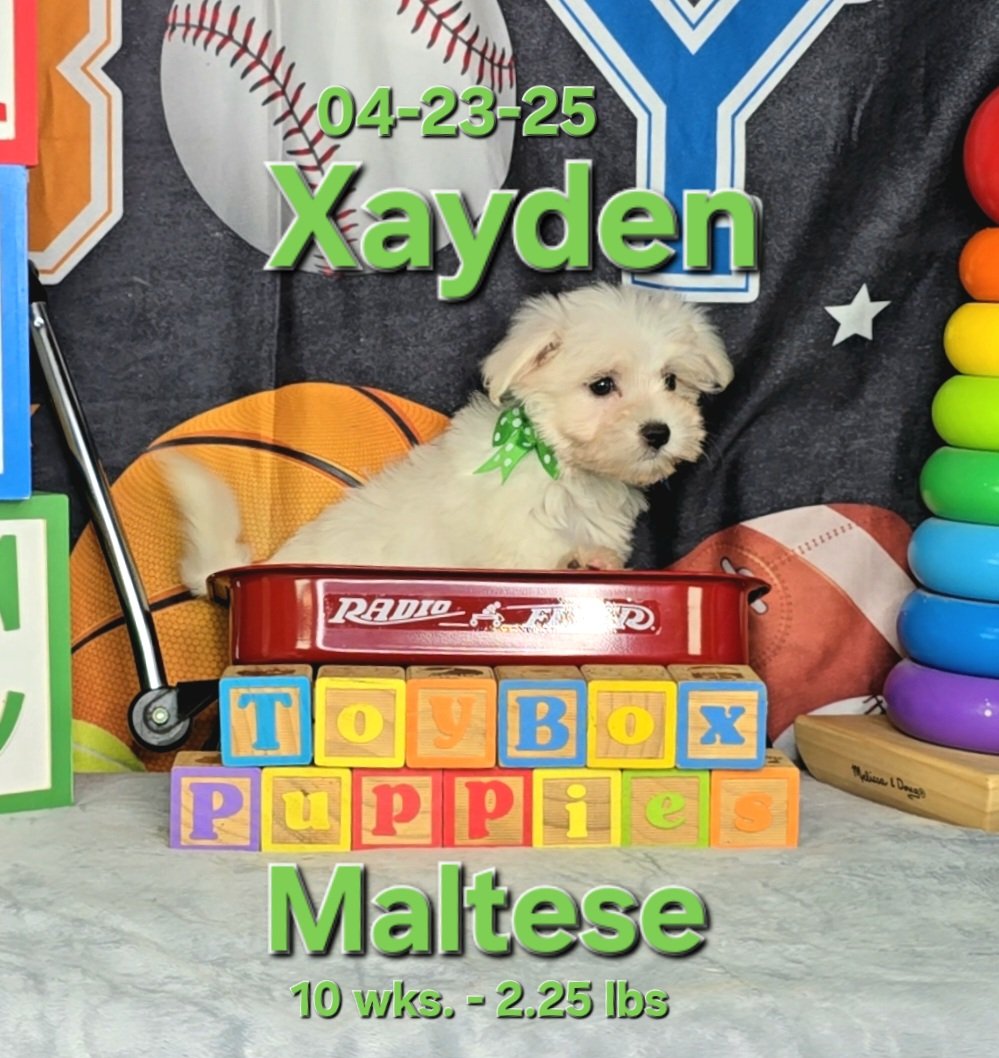 processed_aad9689750c640af9cde56ca317304e0.jpeg