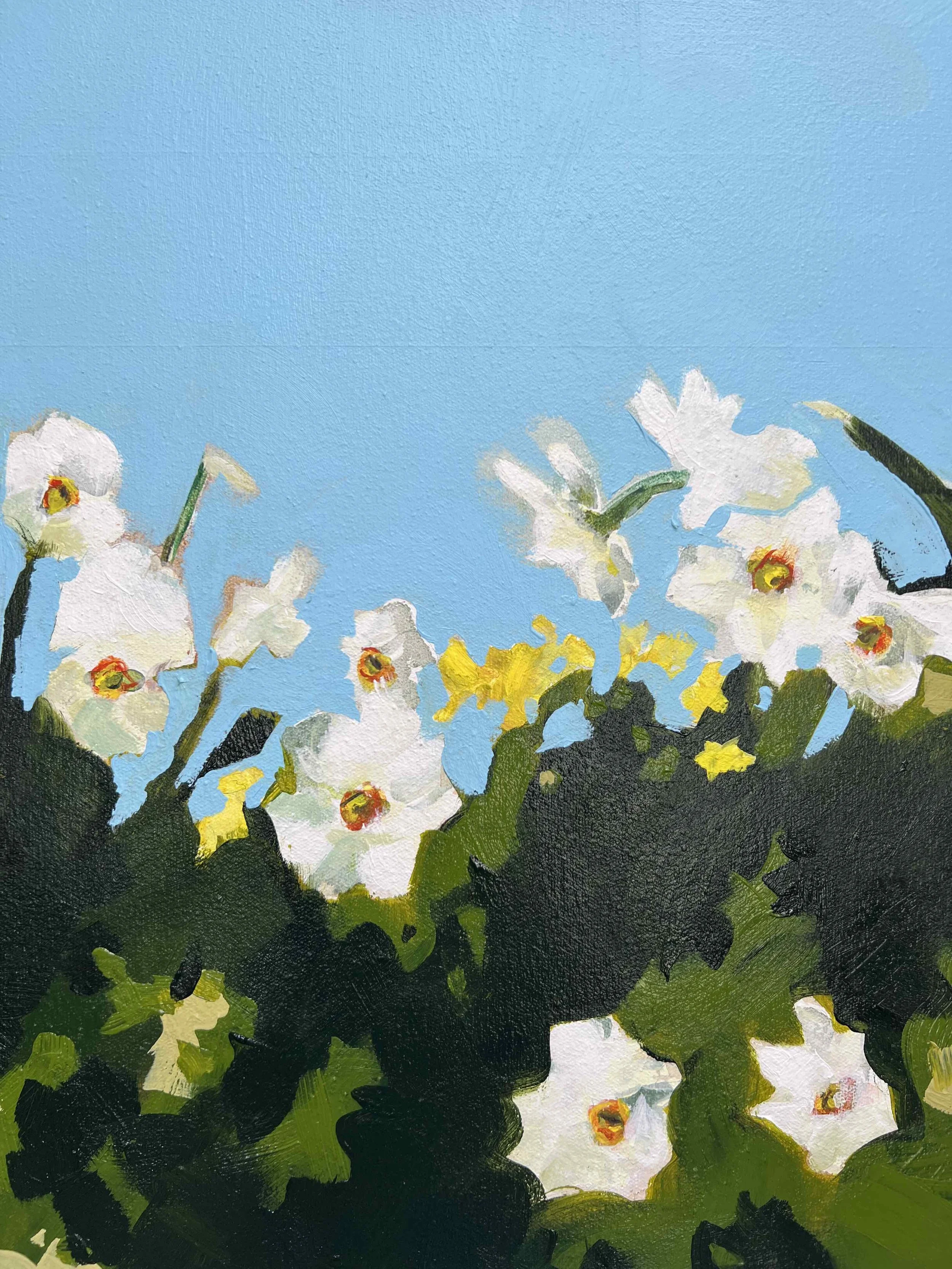 NARCISSUS ACTAEA_detail 3.jpg