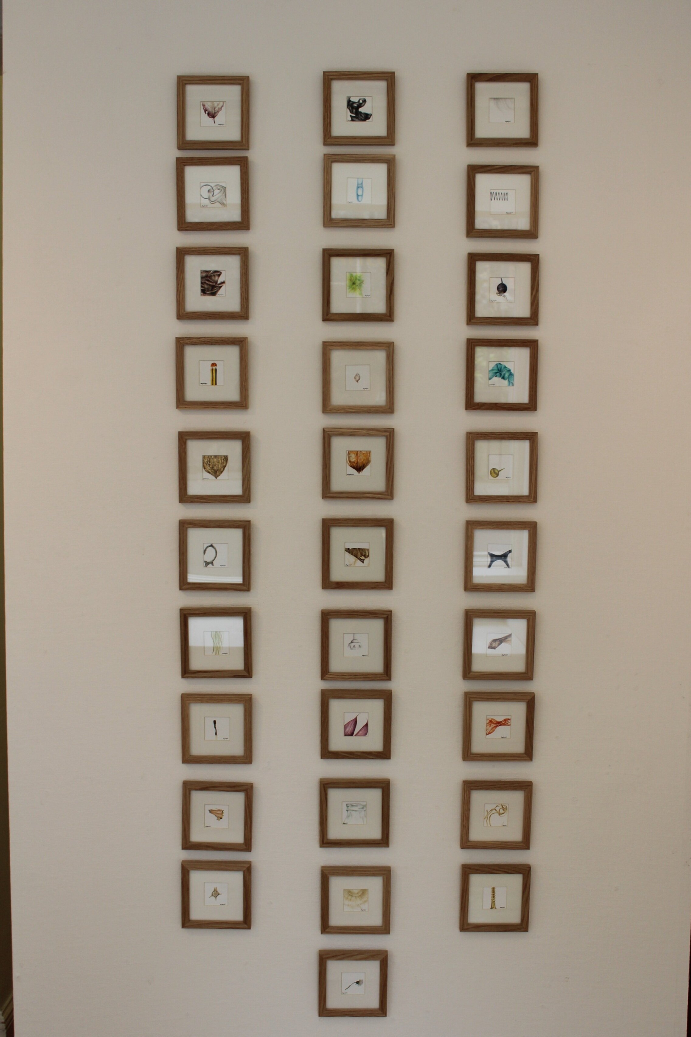 31 Days of Revealing
Watercolour
Each individual painting represents the 'Quietly Discovered' object over the period of 31 days of March.
