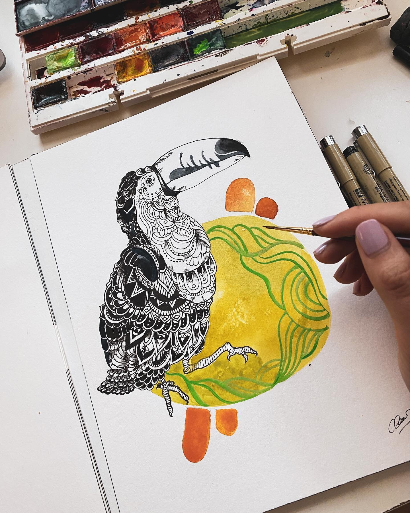 Being away for a holiday seems really fun until you start missing your work desk and watercolor 🥹
.
.
.
.
.
.
.
.
#toucan #watercolorpainting #toucanwatercolor #sakuraofamerica #sakurapen #inkdrawing #zentangleart