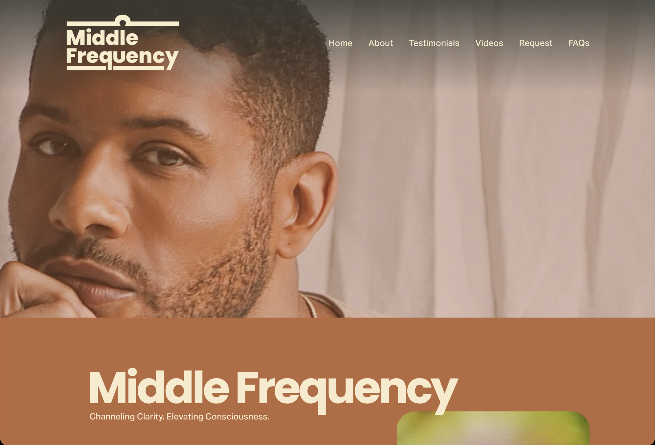 Middle Frequency Identity + Website