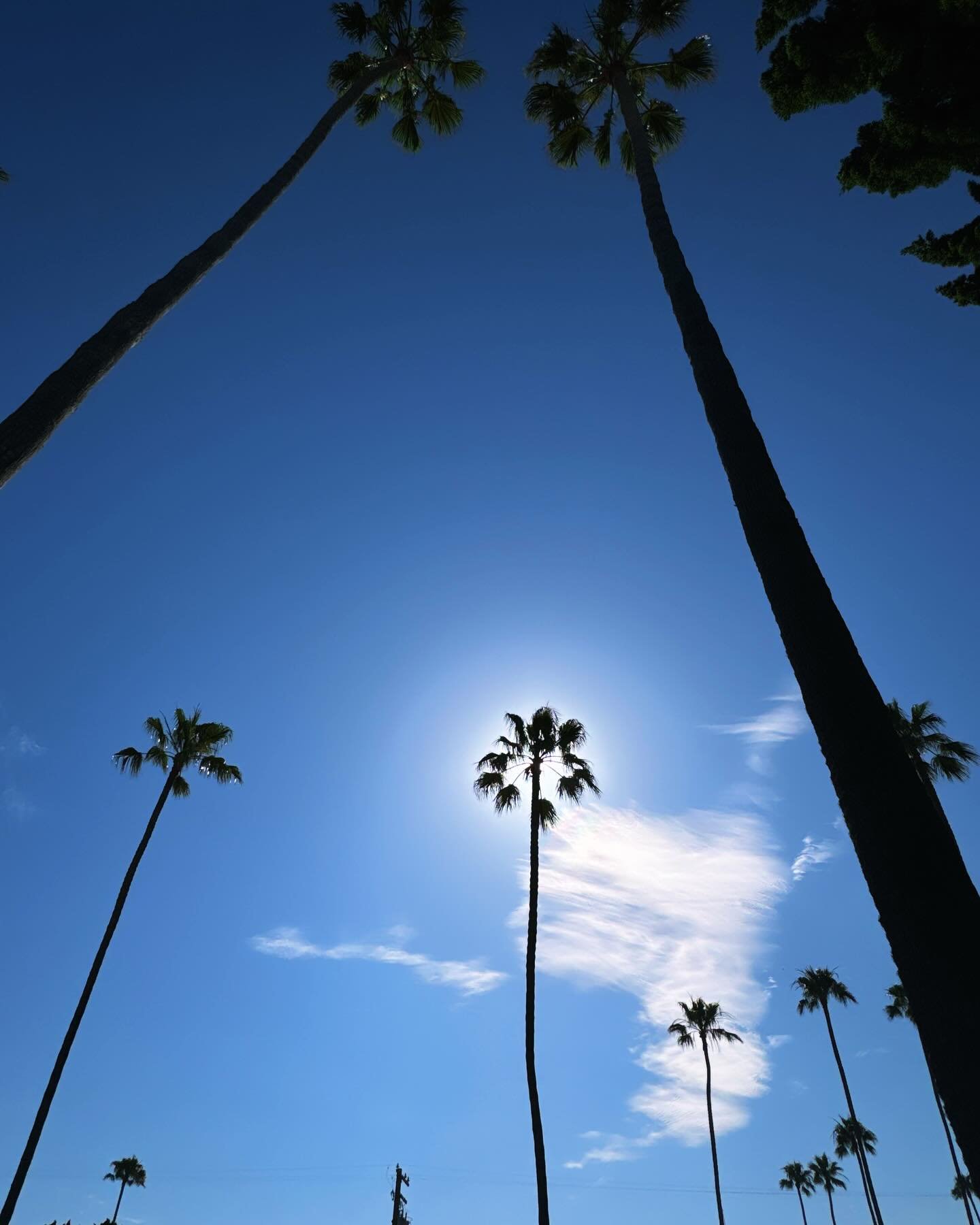 I like to remind myself, 
and I try to remind myself, 
to make it a habit of looking at the sky.

I find that when I stop for long enough
to see the clouds moving,
a space opens up
where a quiet moves in.

It&rsquo;s a nice way to remember
that imper