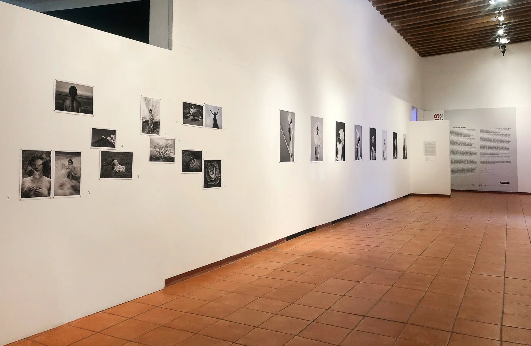 ExhibiciónMALR-1.jpg