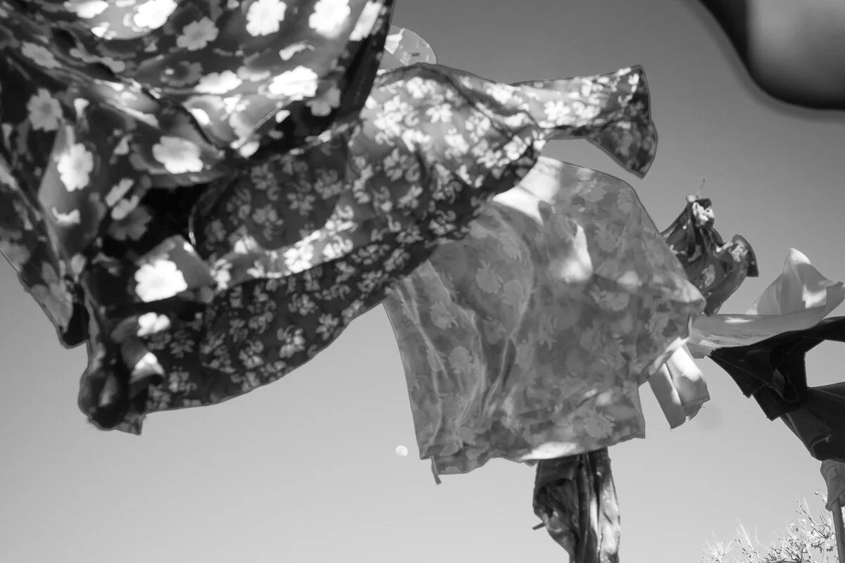 Istmo-61.jpg