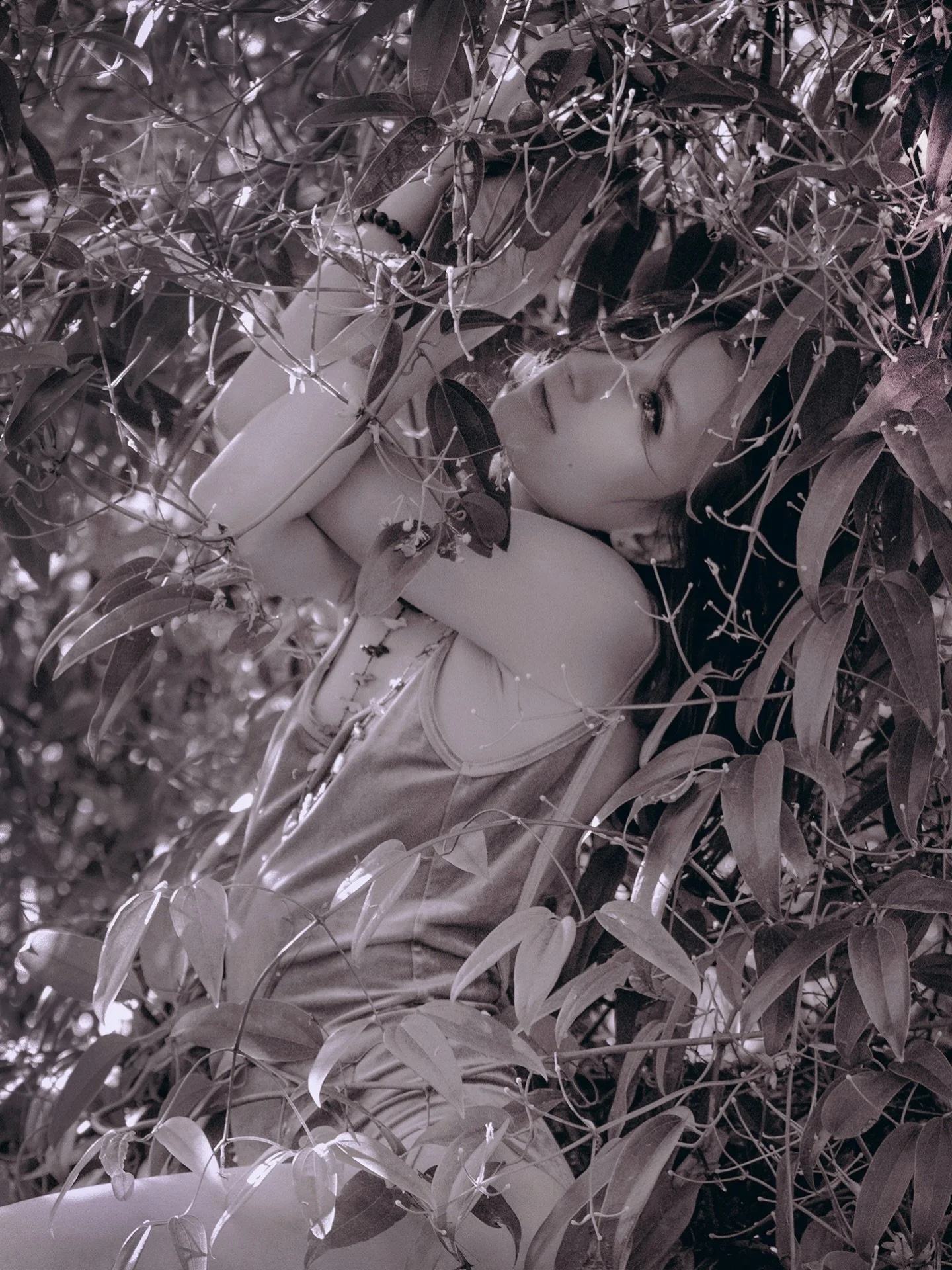 Spring
@photovogue 
#PVMondaySpring
@er.in.no.va