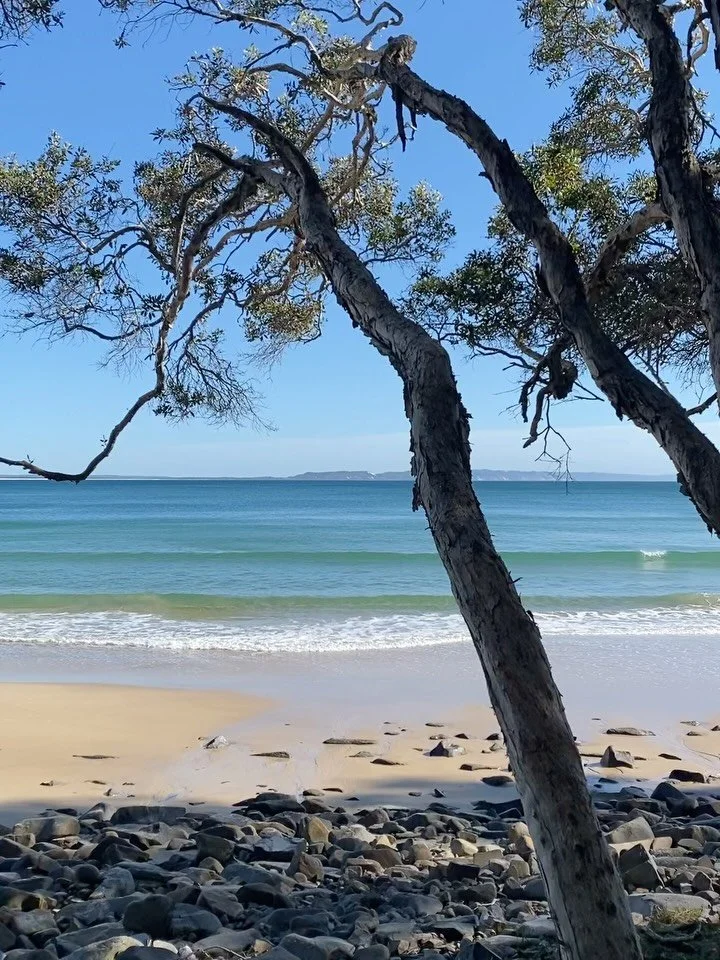 A few little recent moments 🤎

Had a mini break to Noosa with @_reverett we saw whales, ate tacos most nights we were there, ate lots of ice cream and went for many amazing ocean swims.

Went to the most beautiful wedding to celebrate @ritual.naturo