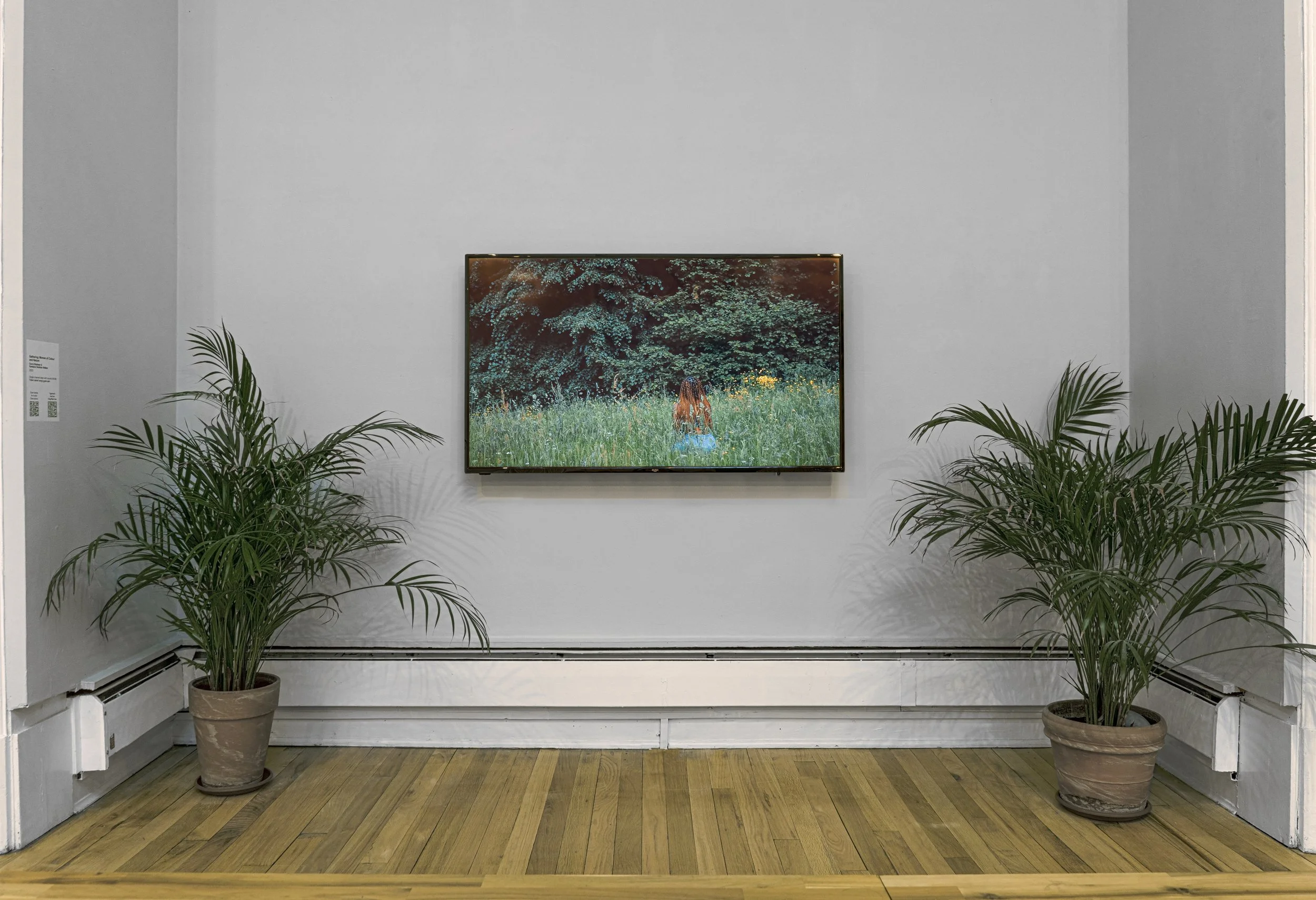 059, On Loss and Damage, March 23 medium res.JPG