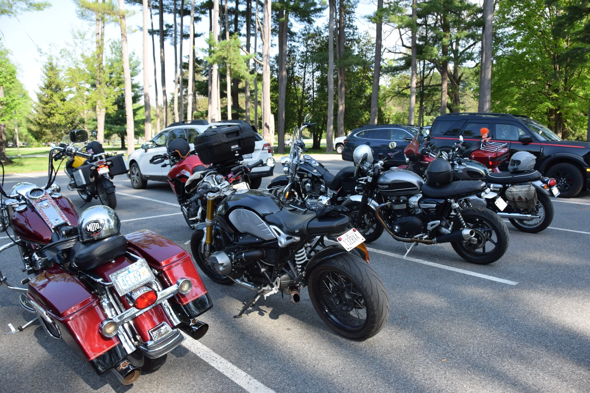 DSC_0559.JPG