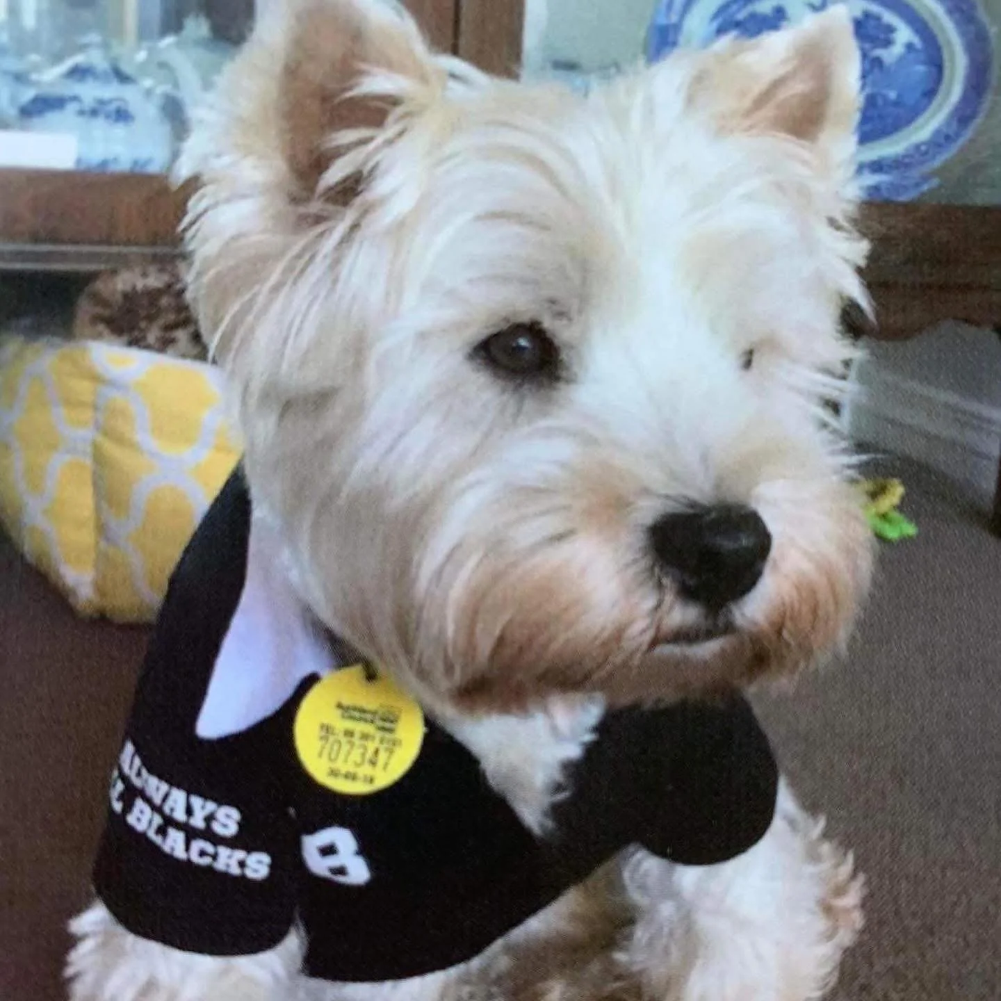 Precious memories of The Three Musketeers that popped up today🥰