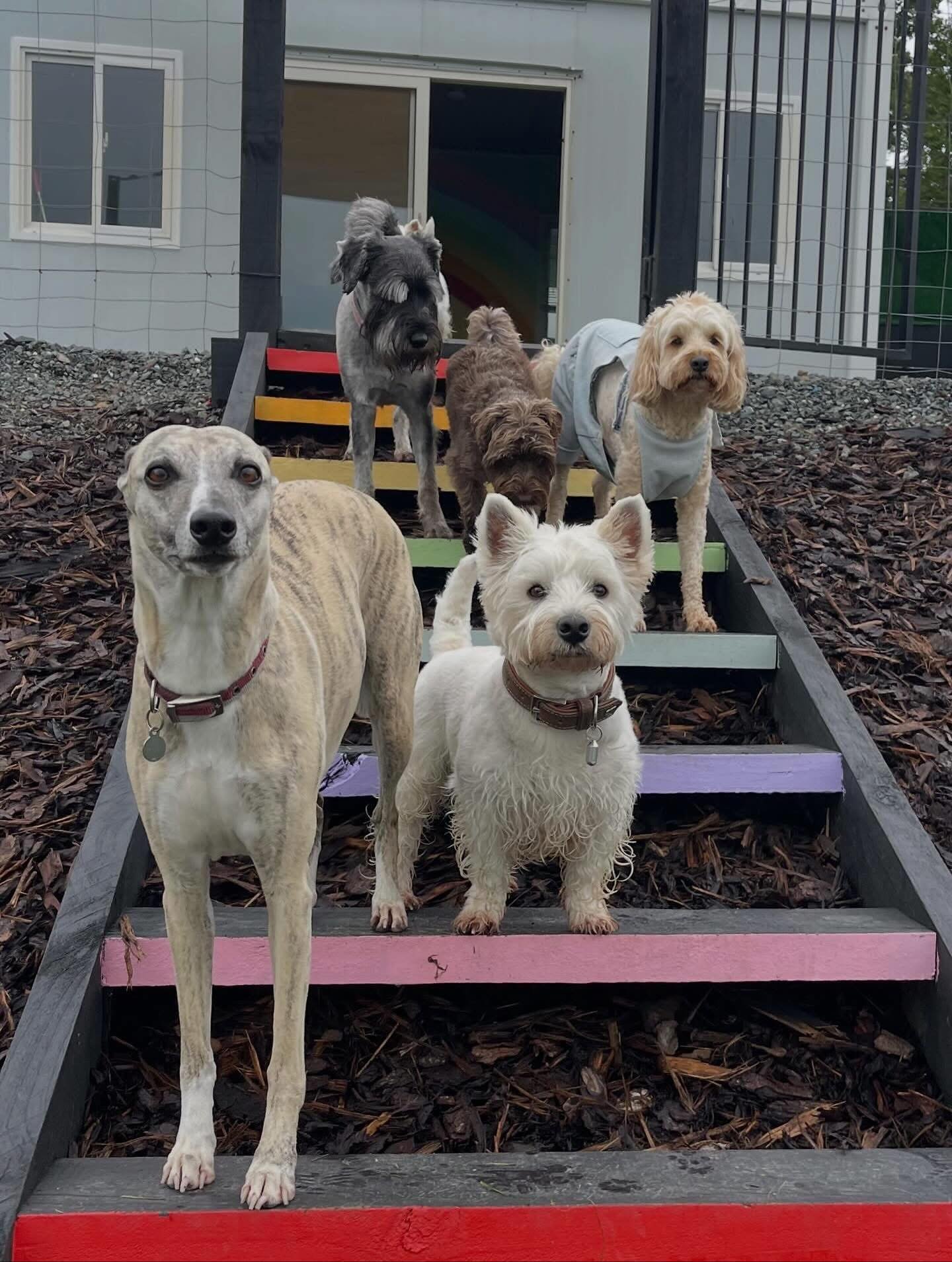 School is the most fun @otiboatydreamland