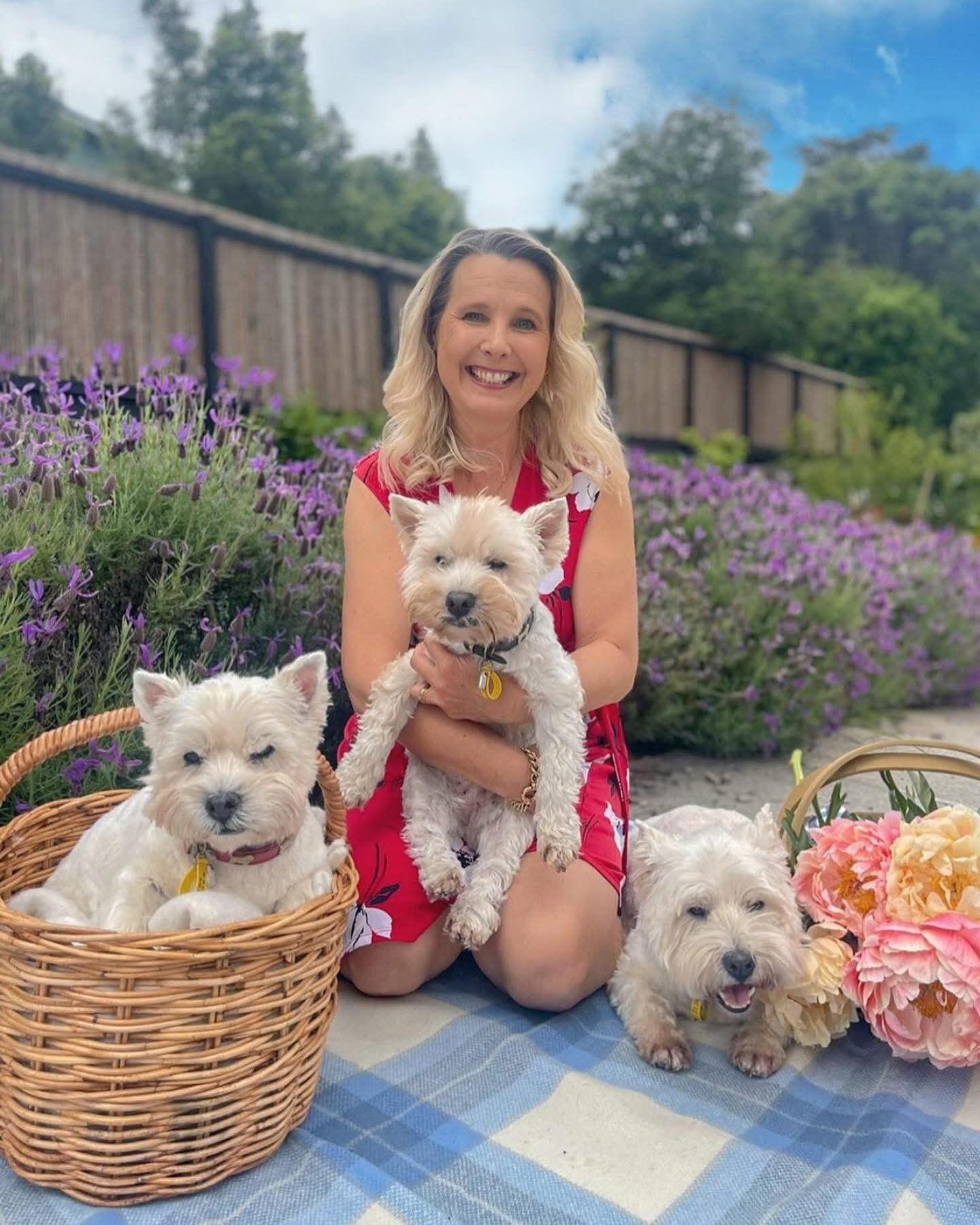 Wonderful memory from the Westies &amp; Besties photo shoot with The Three Musketeers 🥰