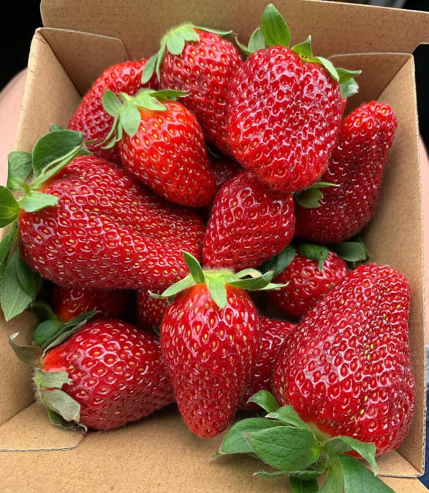 Summer ☀️☀️☀️☀️