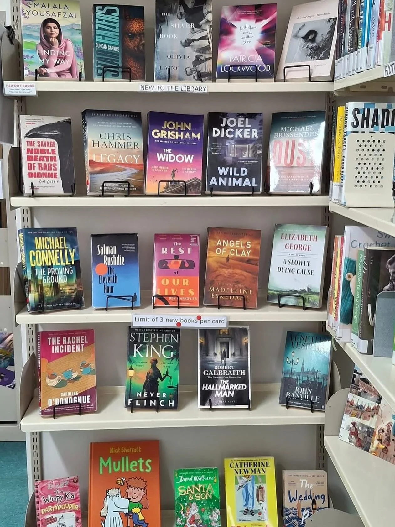 At our wonderful village library in Leigh 📚📚📚📚📚🥰 #angelsofclay #leighlibrary #thematakanaseries #madeleineeskedahl #nzcrimefiction