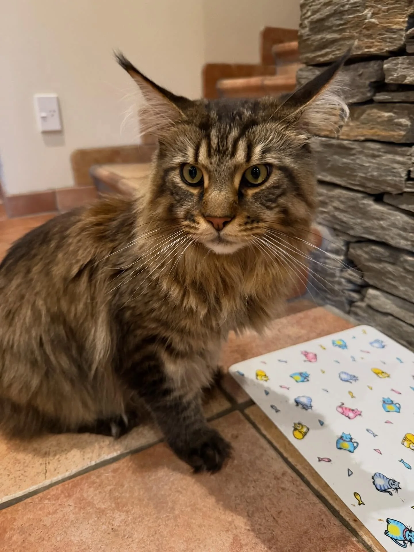 Awww, such cuties 🥰