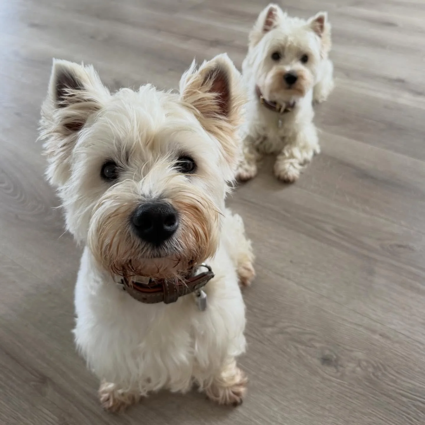 My special little Valentine&rsquo;s 💘 forever 💕💕💕