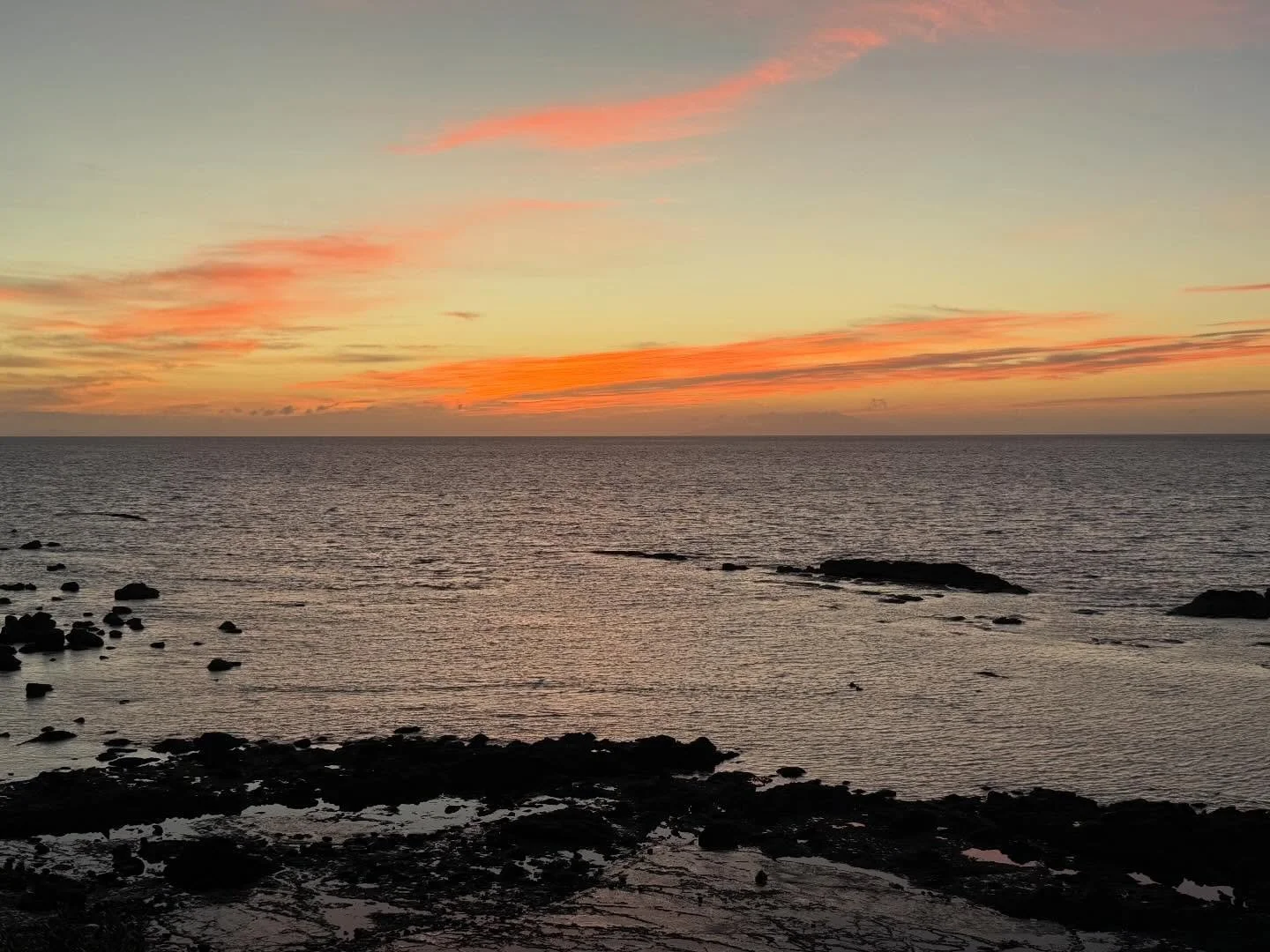 Nice to be home 🥰