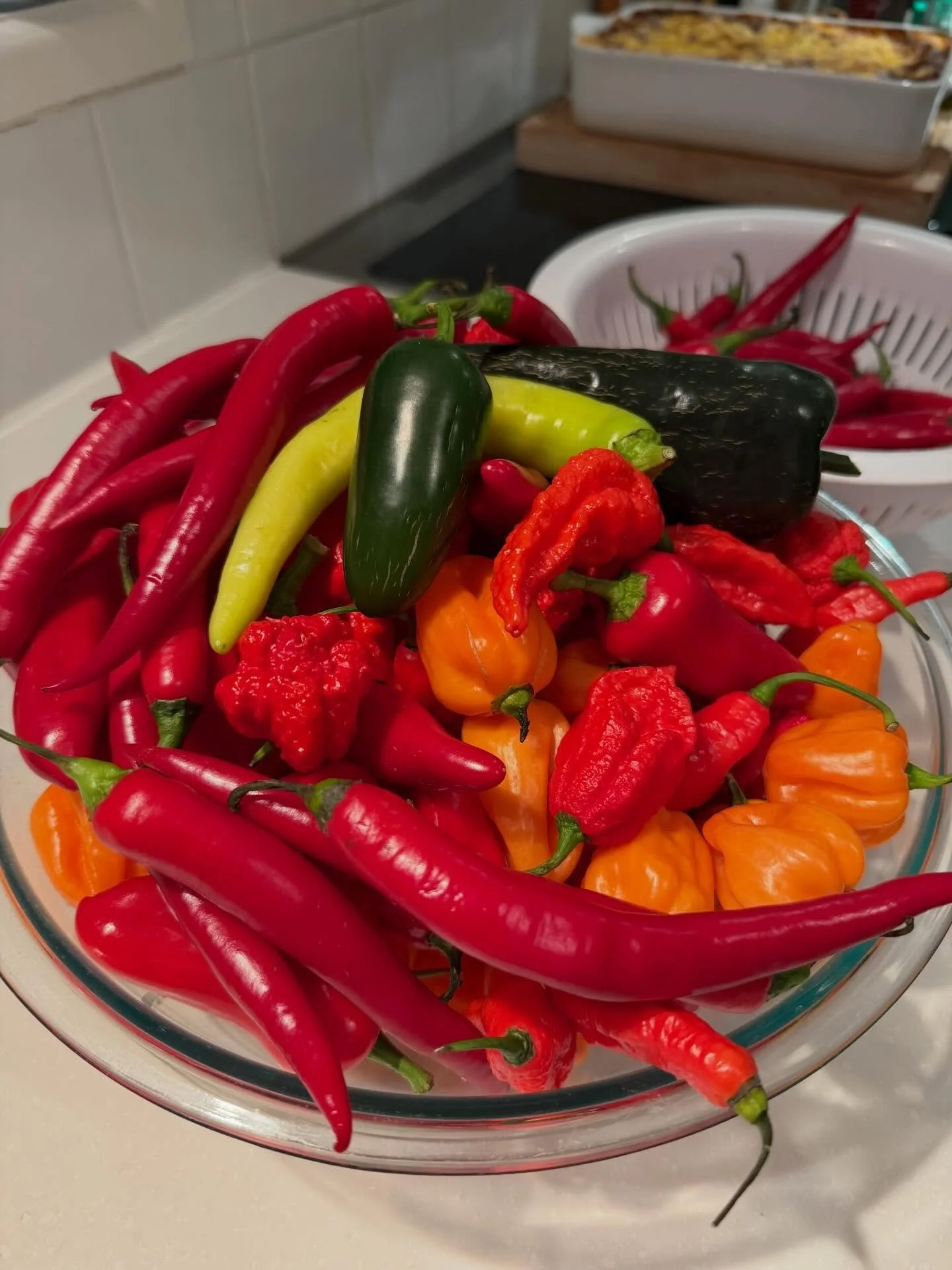 Chilli sauce made 🌶️ 😃 Yum !!