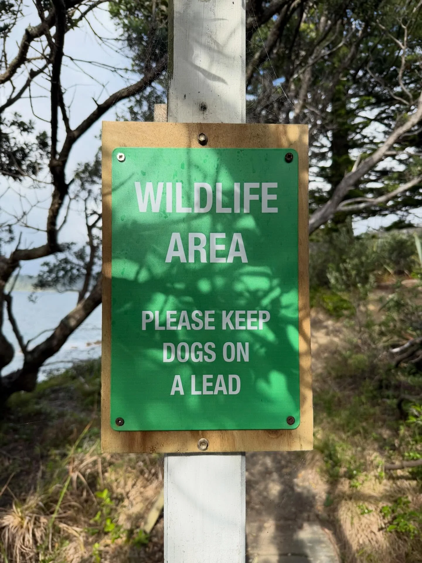 Collection of the autumn penguin scat sample for the nationwide New Zealand Penguin Initiative eDNA study of what these birds eat seasonally. The Leigh Penguin Project is so thrilled to be an integral part of this data collection.