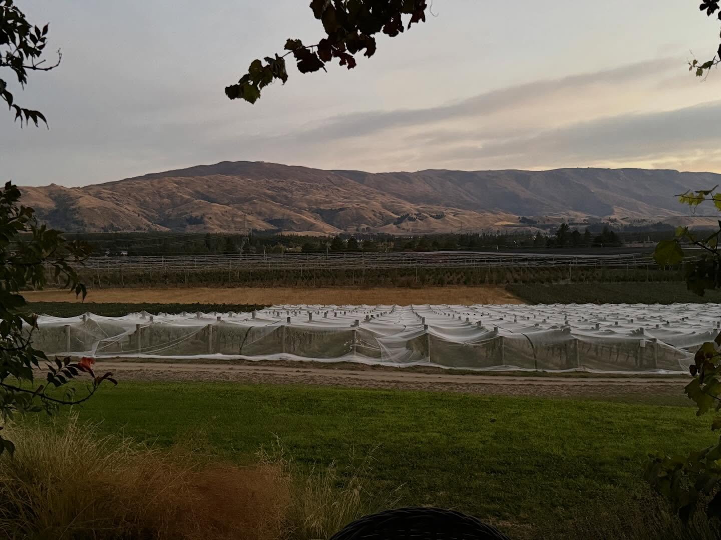 Fantastic day in Arrowtown, Clyde and Roxburgh.