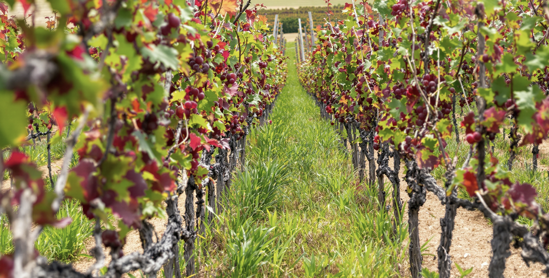 Screenshot 2025-10-27 at 2.51.06 PM.png