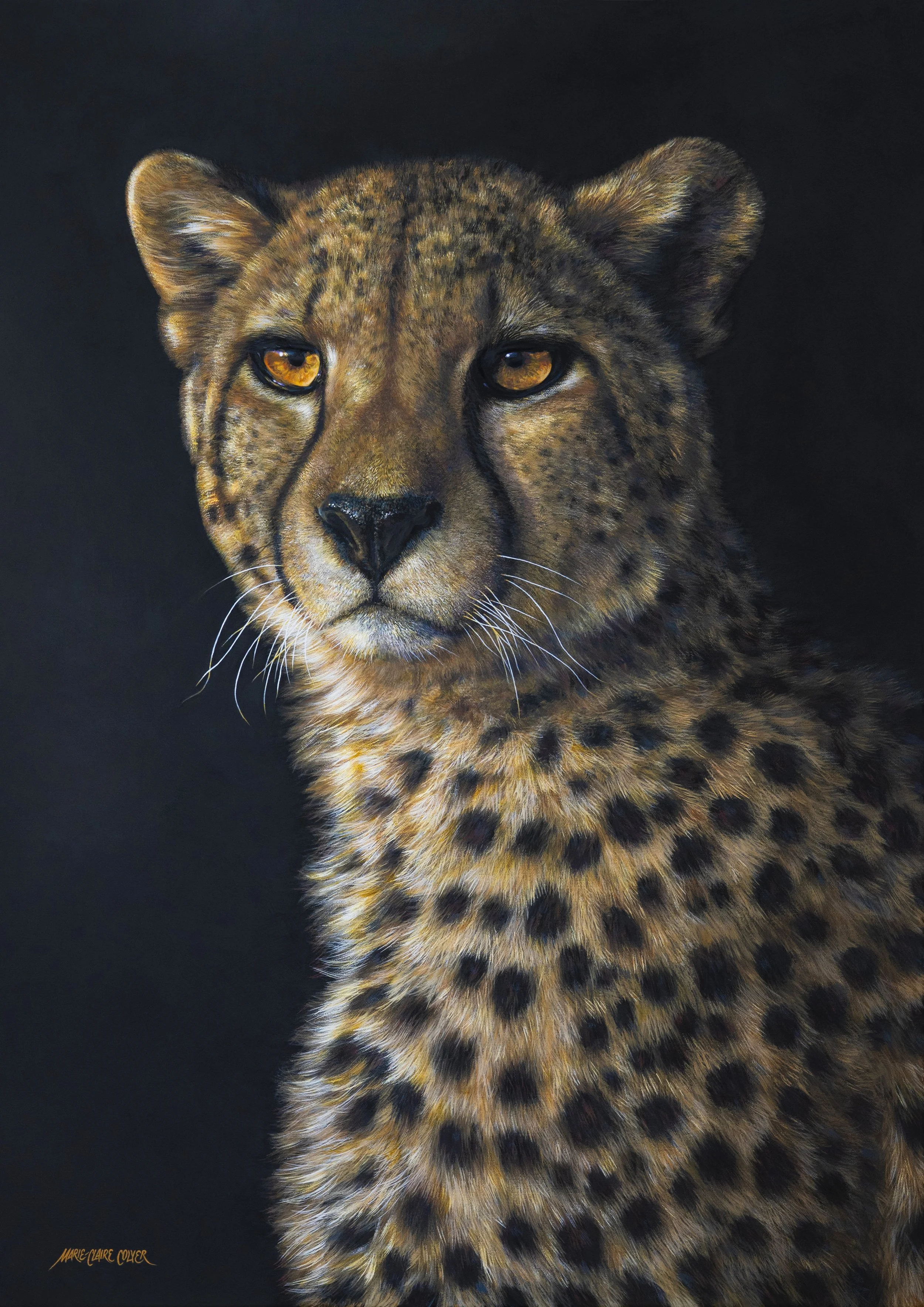 Cry for Conservation - Cheetah print of a painting by Marie-Claire Colyer