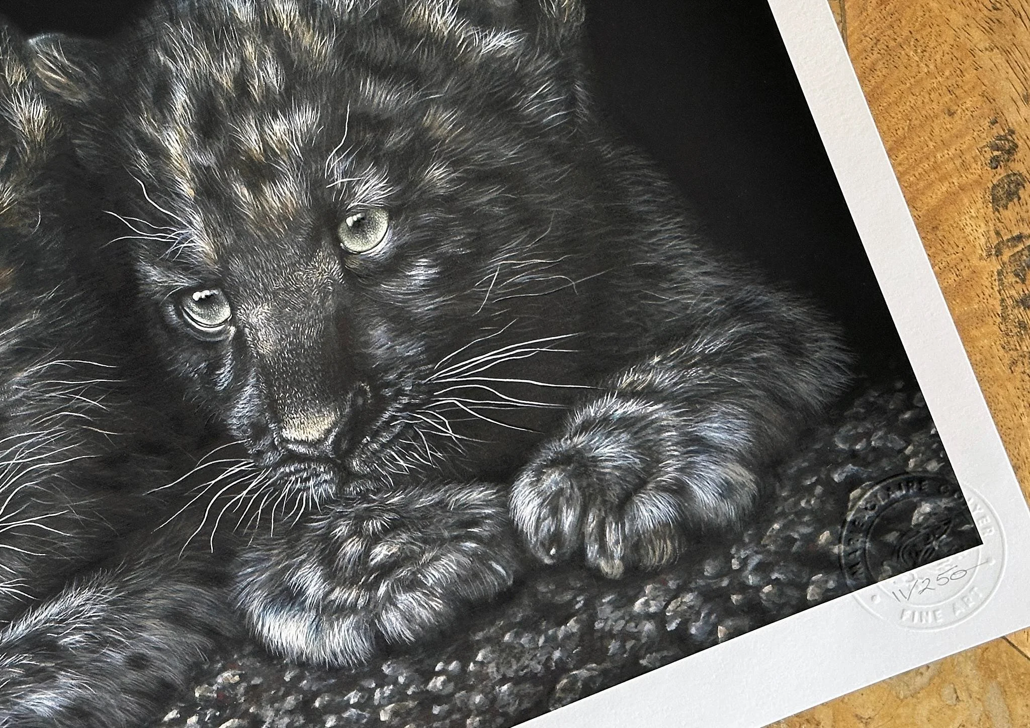 Vulnerable Beginnings - Black Leopard Cubs print by Marie-Claire Colyer showing embossing