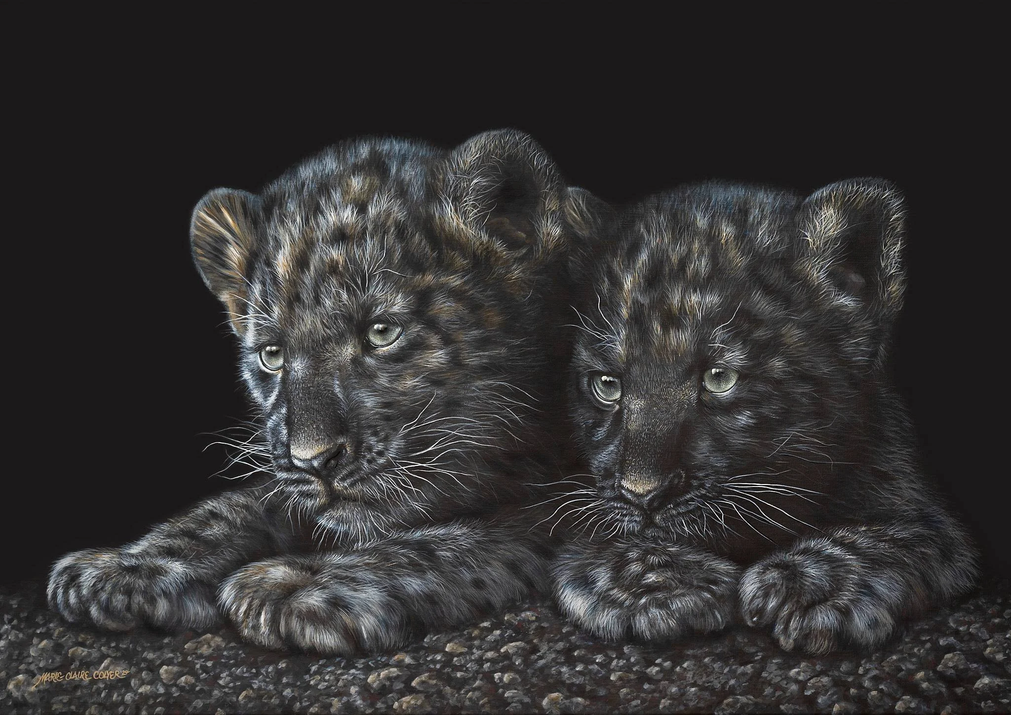 Vulnerable Beginnings - Black Leopard Cubs print by Marie-Claire Colyer