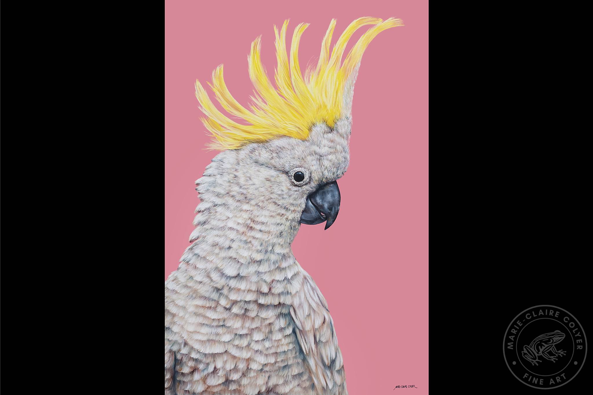 Sassy in Sulphur - Sulphur-crested Cockatoo painting hor2.3 ratio wmk_WEB.jpg